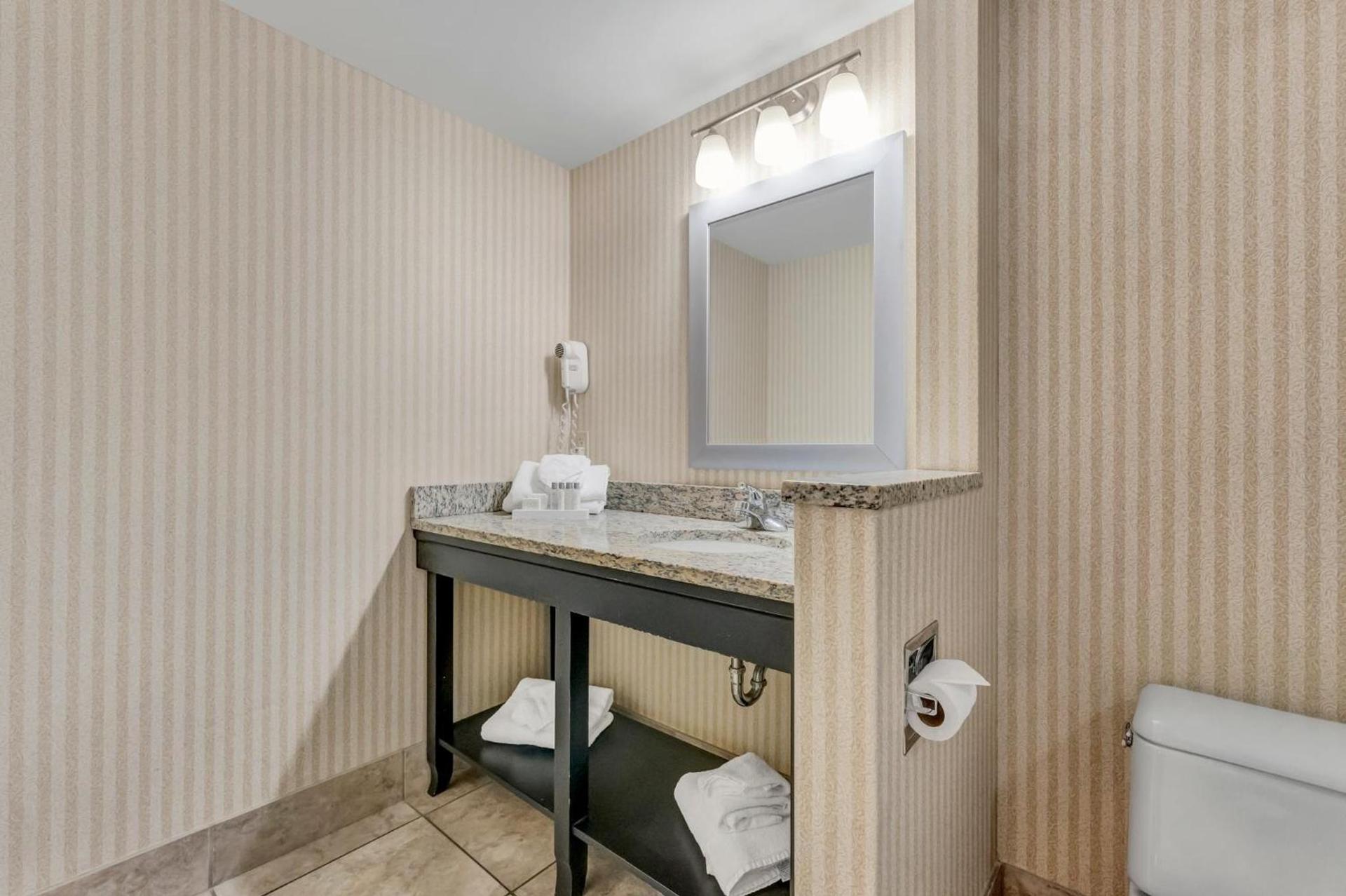 Buffalo Airport Hotel photo 40