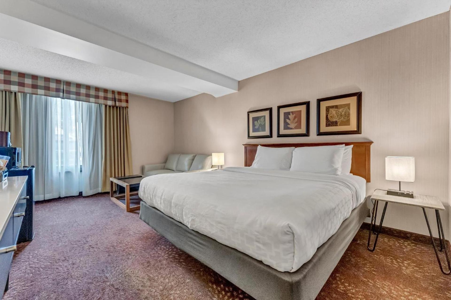 Buffalo Airport Hotel photo 65