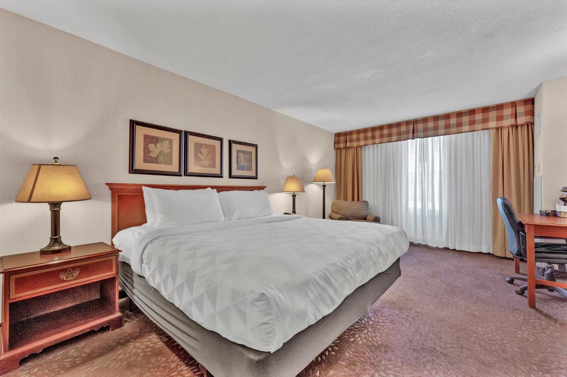 Buffalo Airport Hotel photo 75