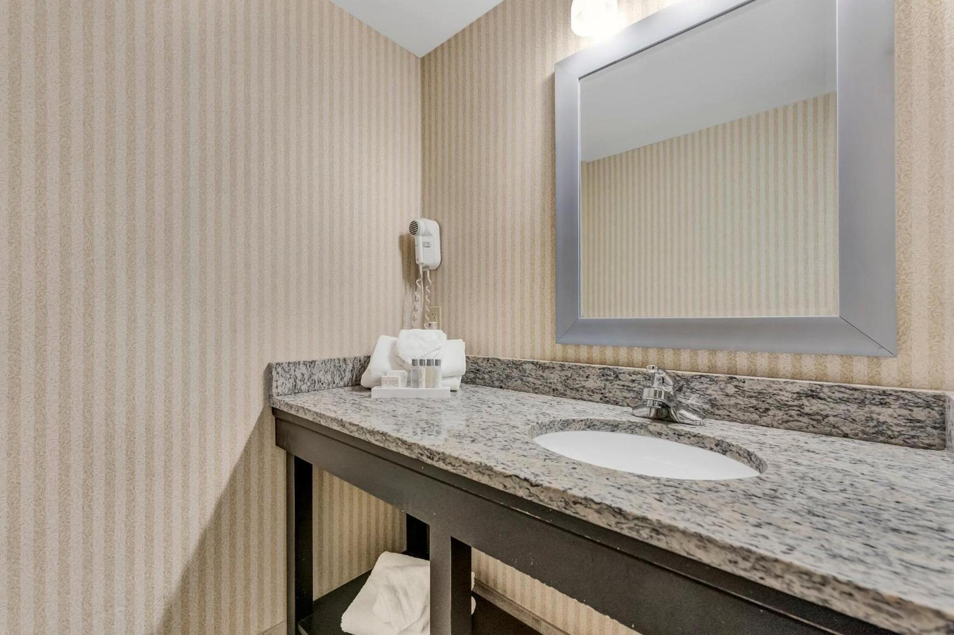 Buffalo Airport Hotel photo 98
