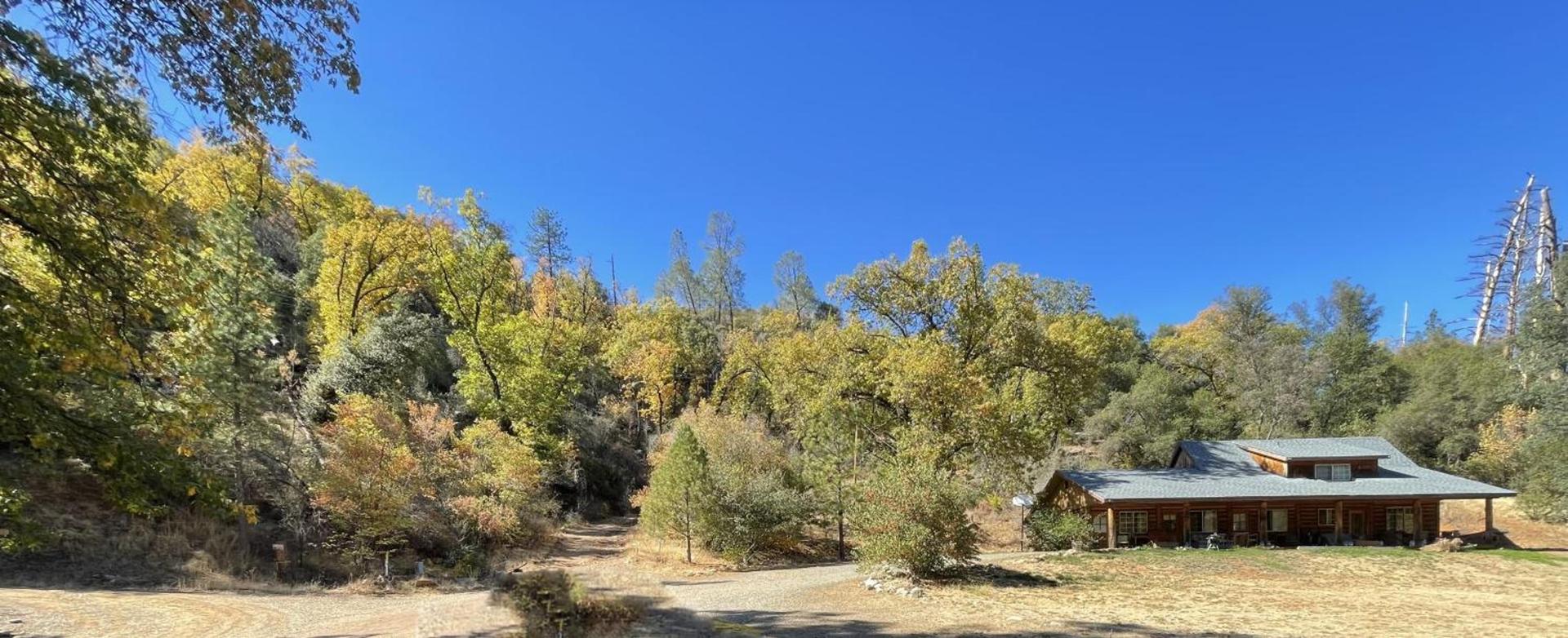 Bear Creek Cabins photo 11