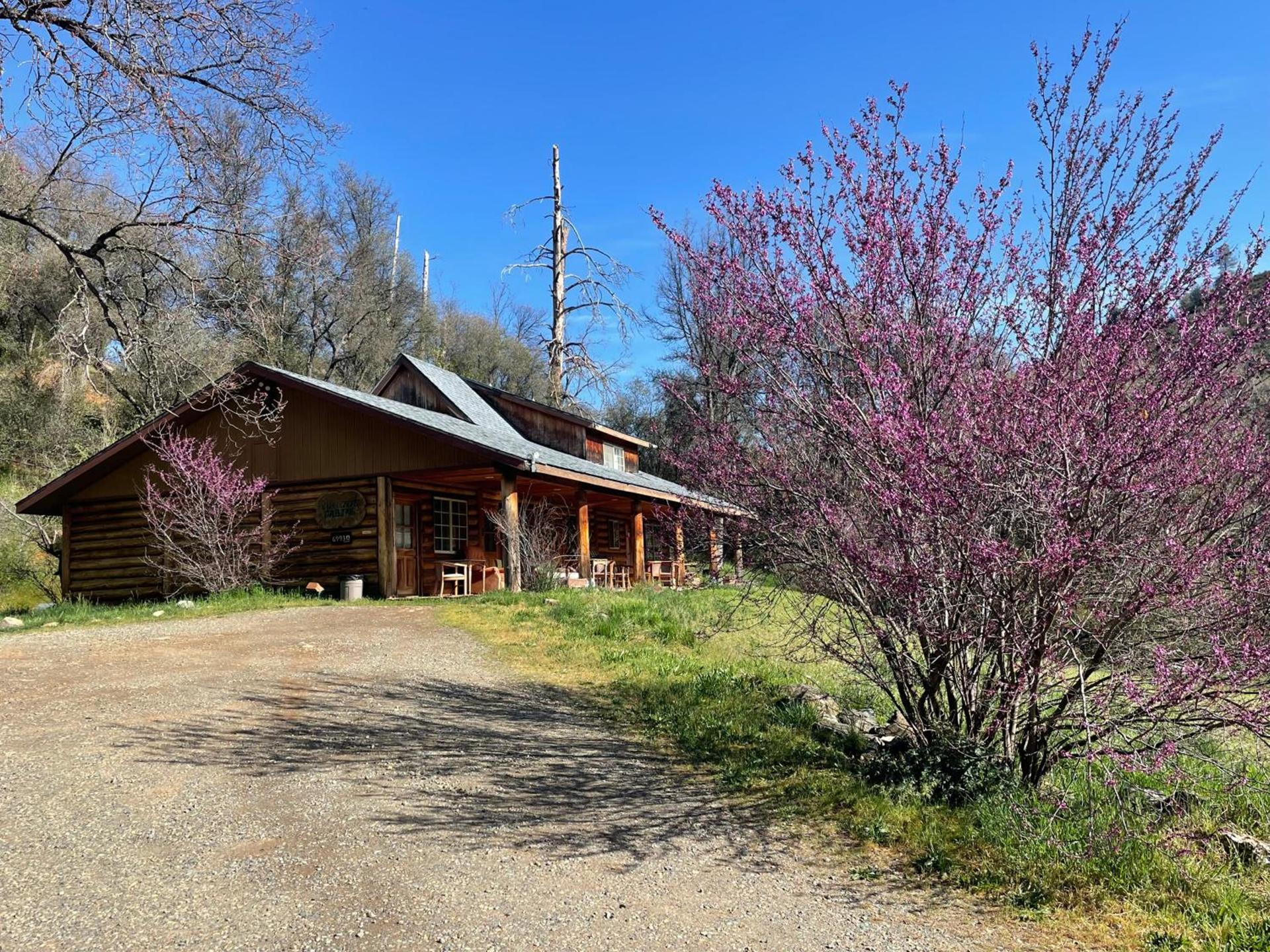 Bear Creek Cabins photo 10