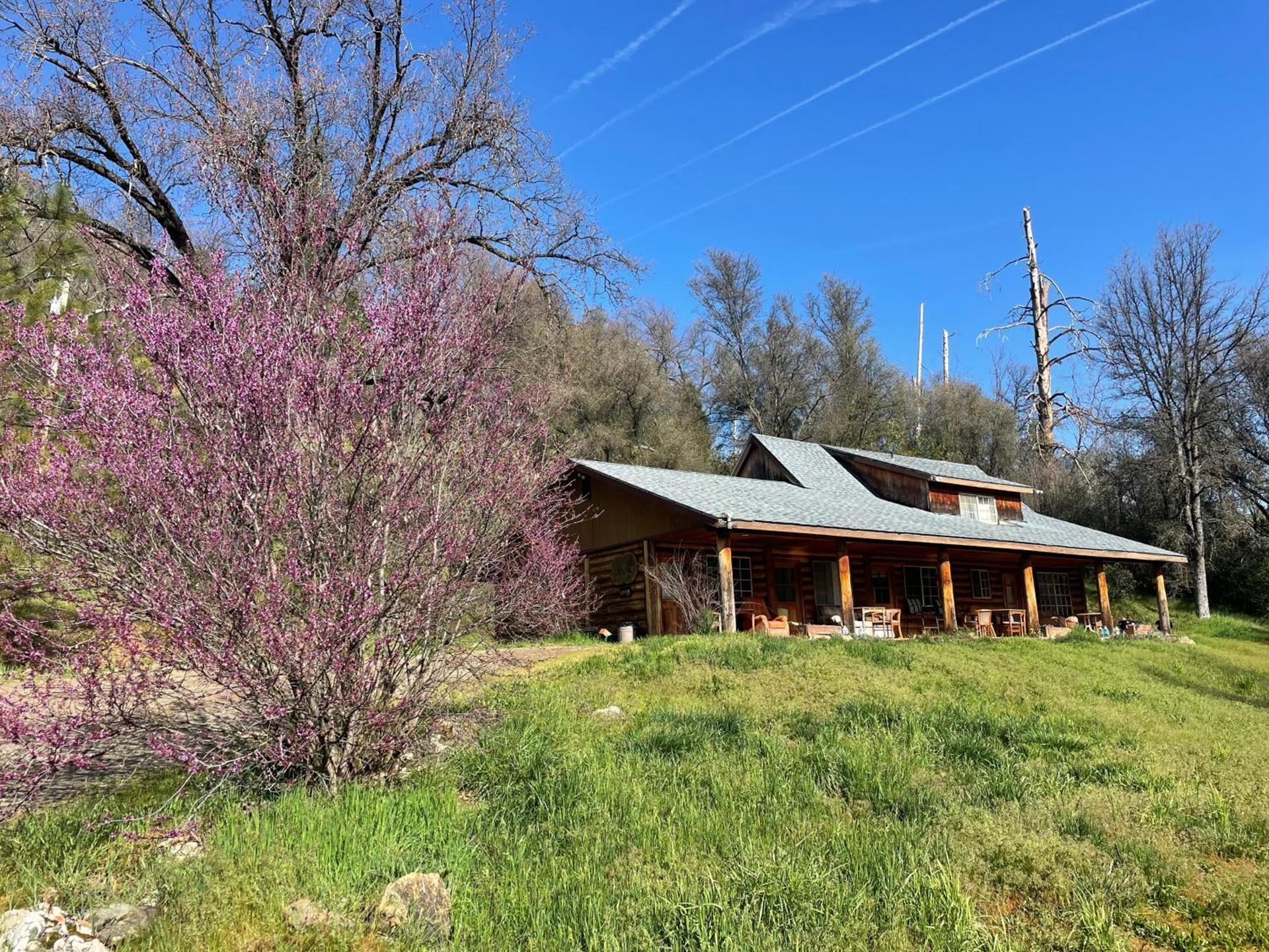 Bear Creek Cabins photo 15