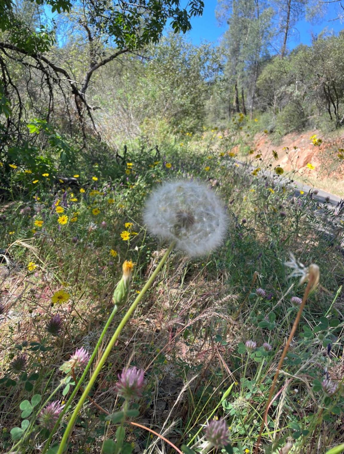 Bear Creek Cabins photo 14