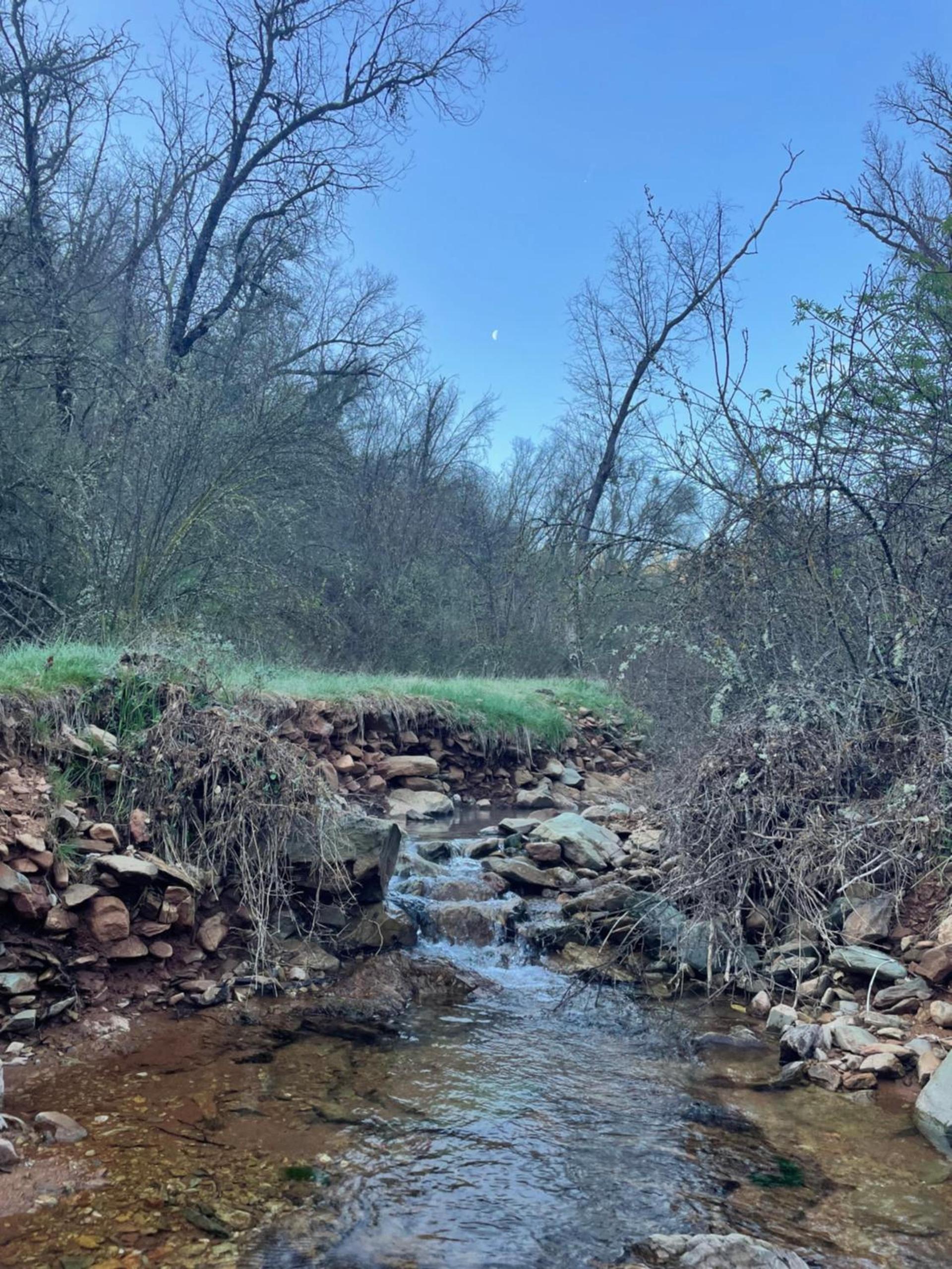 Bear Creek Cabins photo 19
