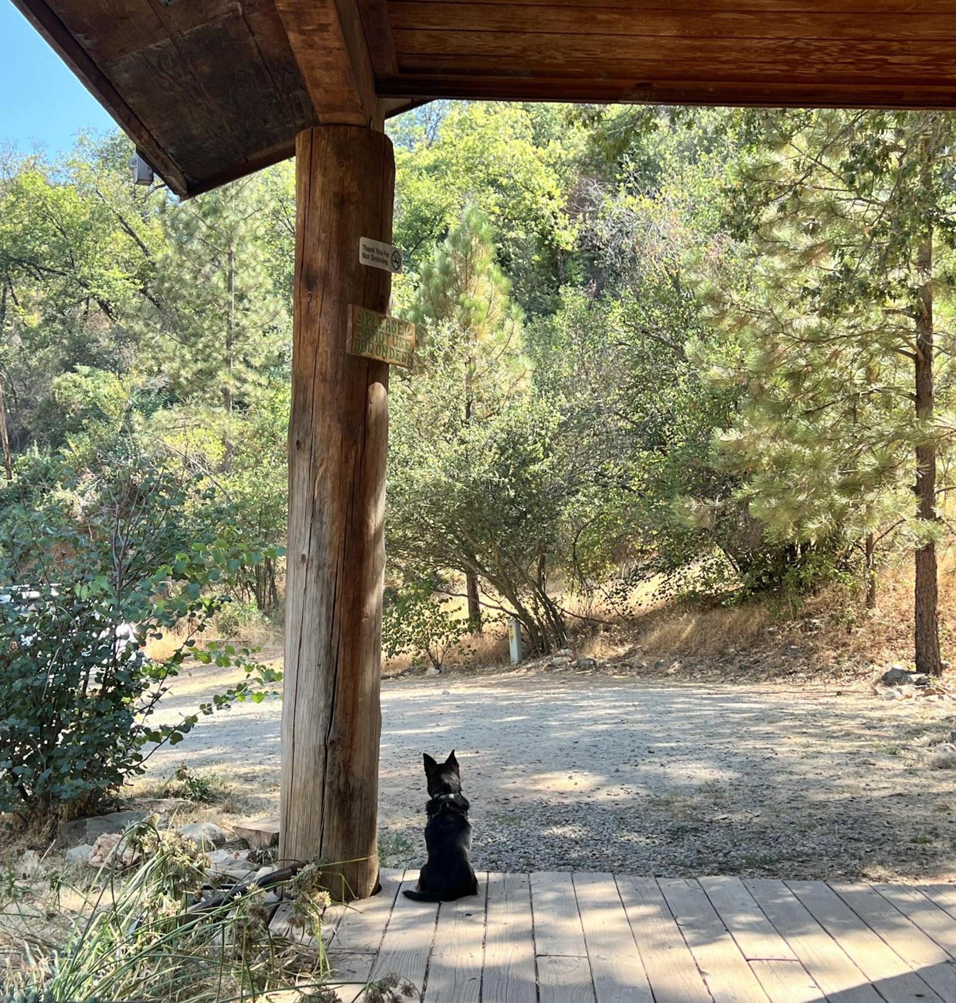 Bear Creek Cabins photo 31