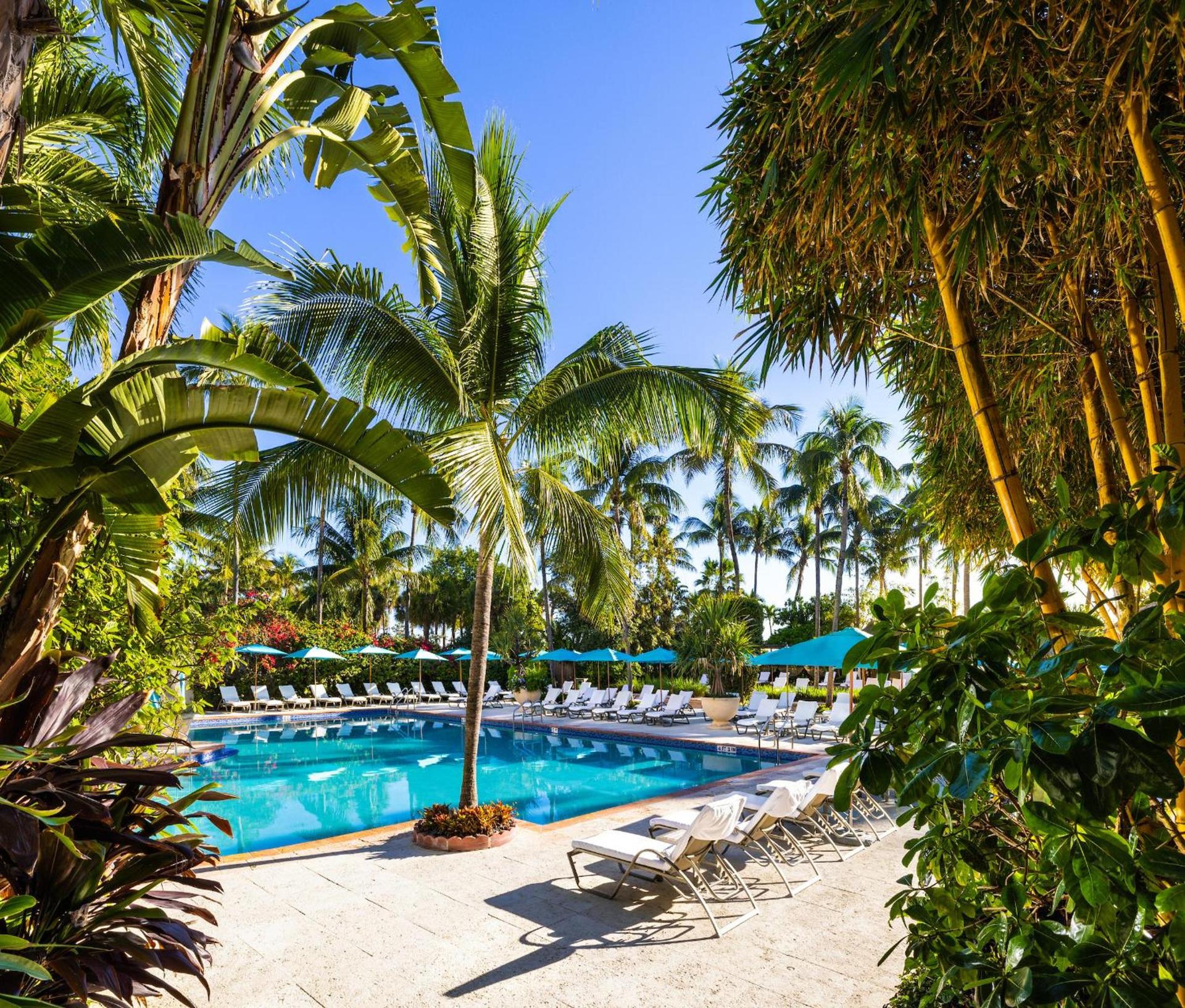 The Palms Hotel & Spa photo 16