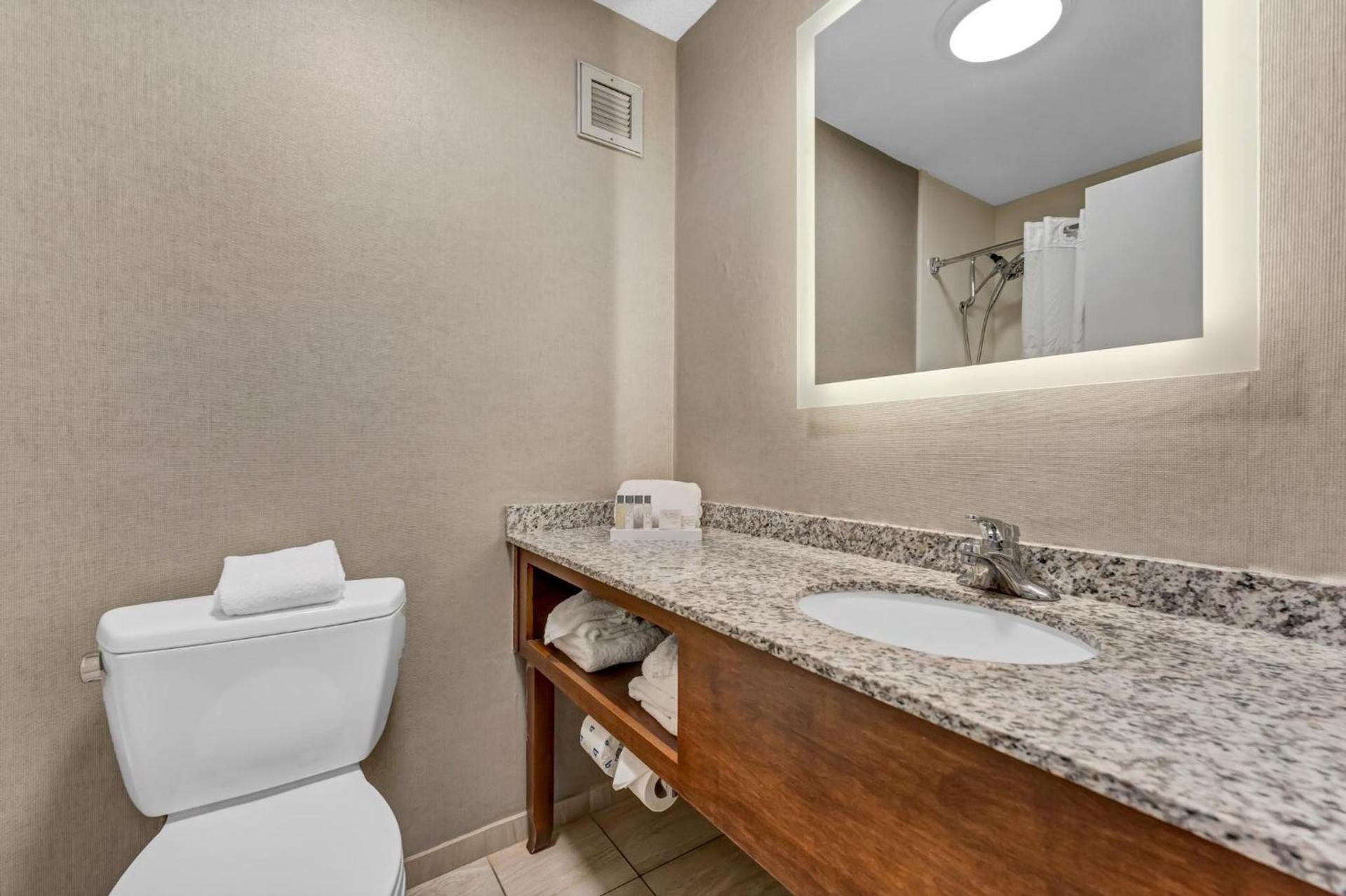 Buffalo Airport Hotel photo 96