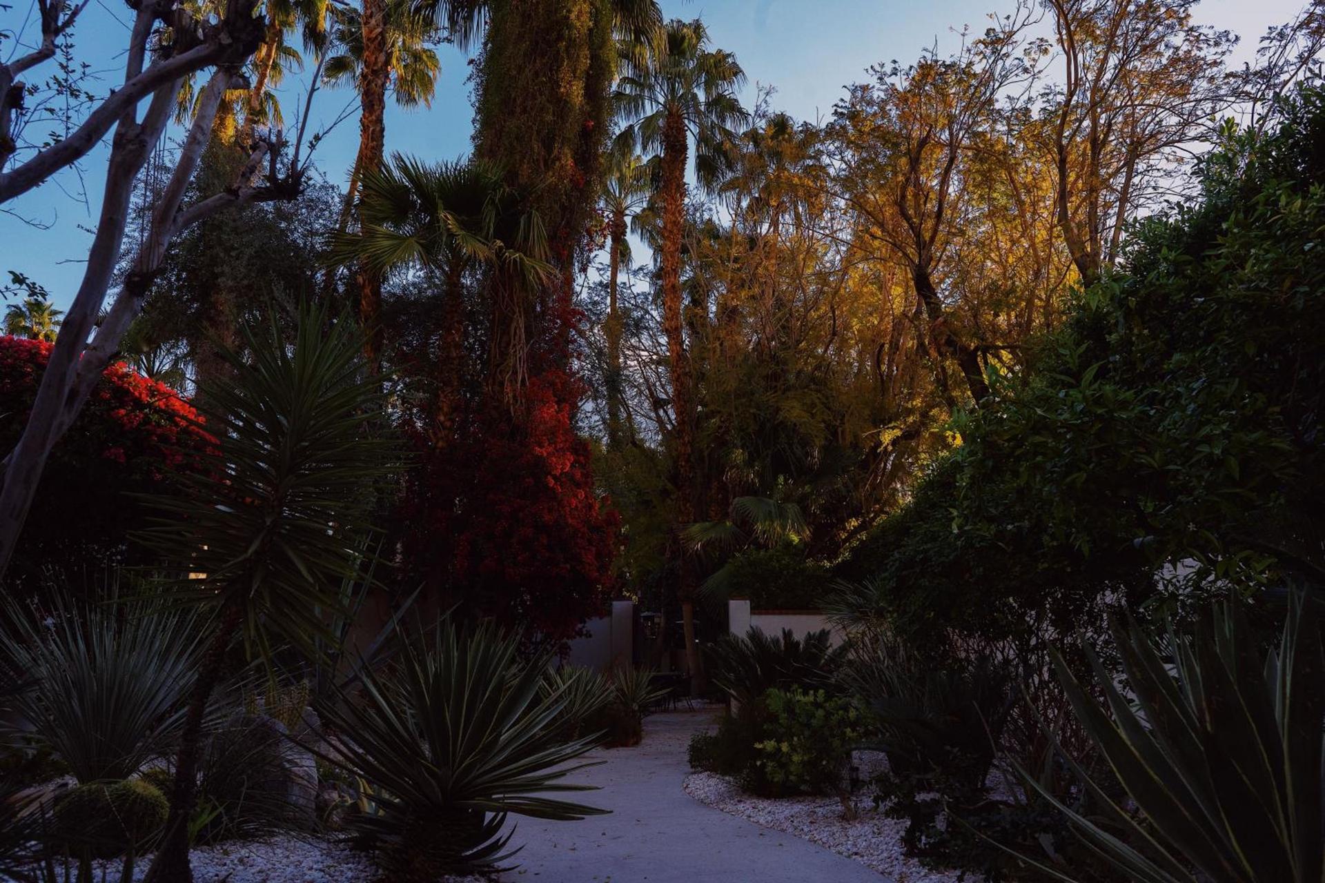 Villa Royale photo 38