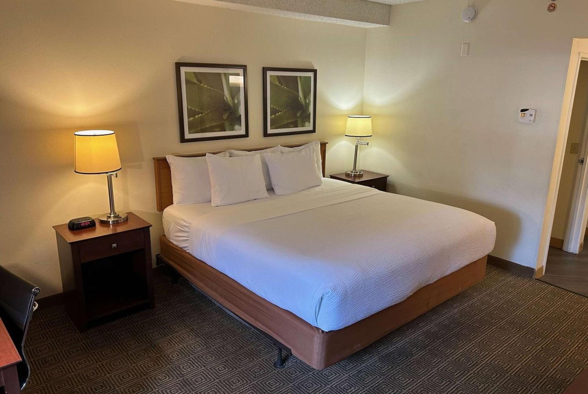 Baymont by Wyndham Orlando South photo 11