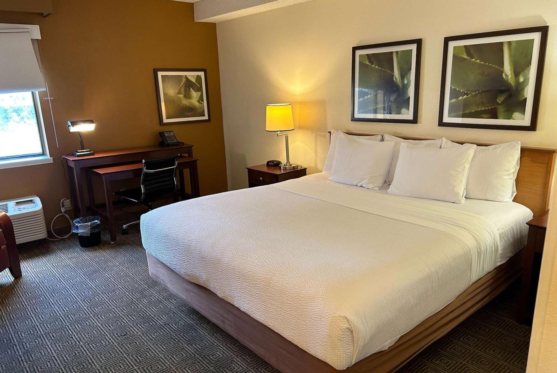 Baymont by Wyndham Orlando South photo 13