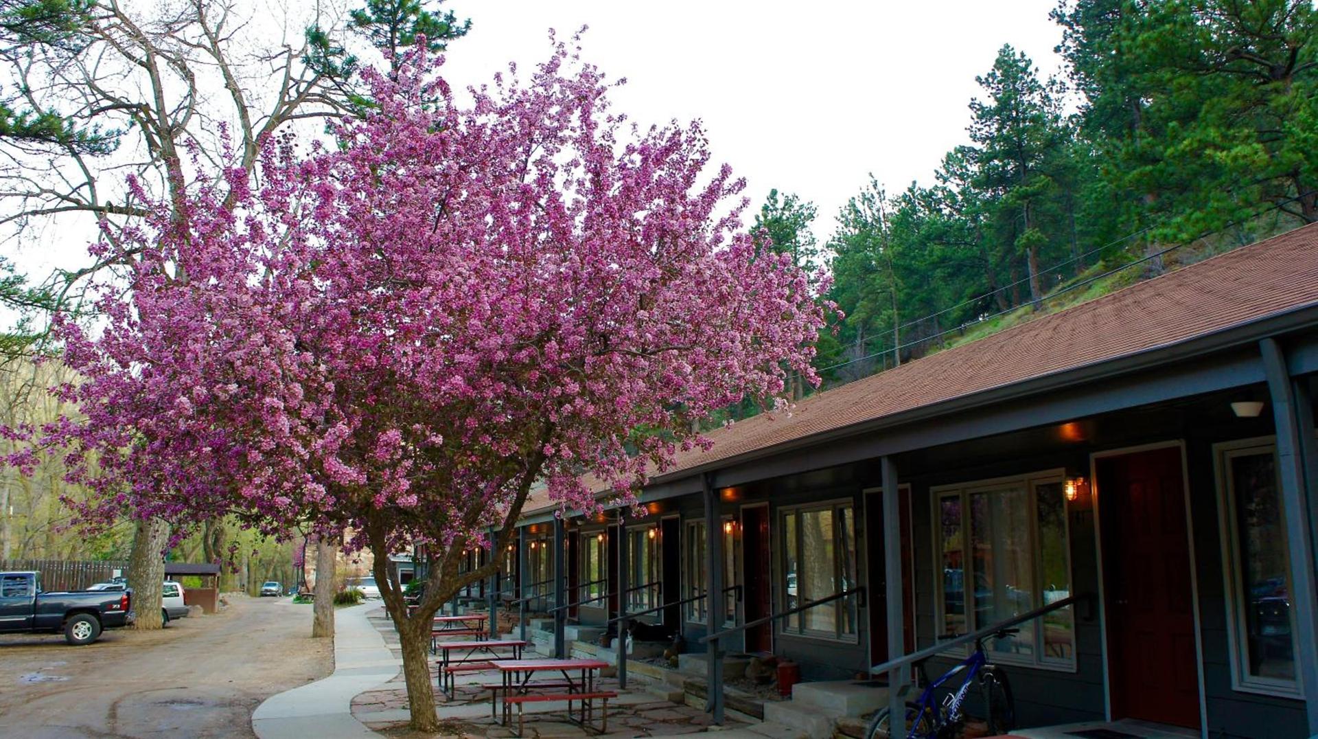 A-Lodge Boulder photo 43