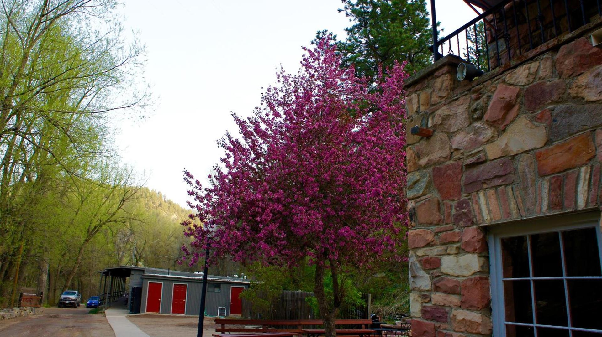 A-Lodge Boulder photo 45