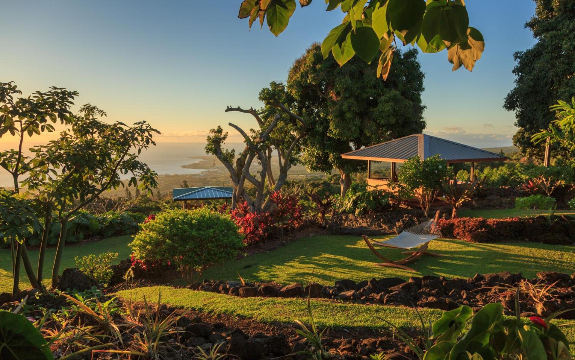 Holualoa Inn photo 10