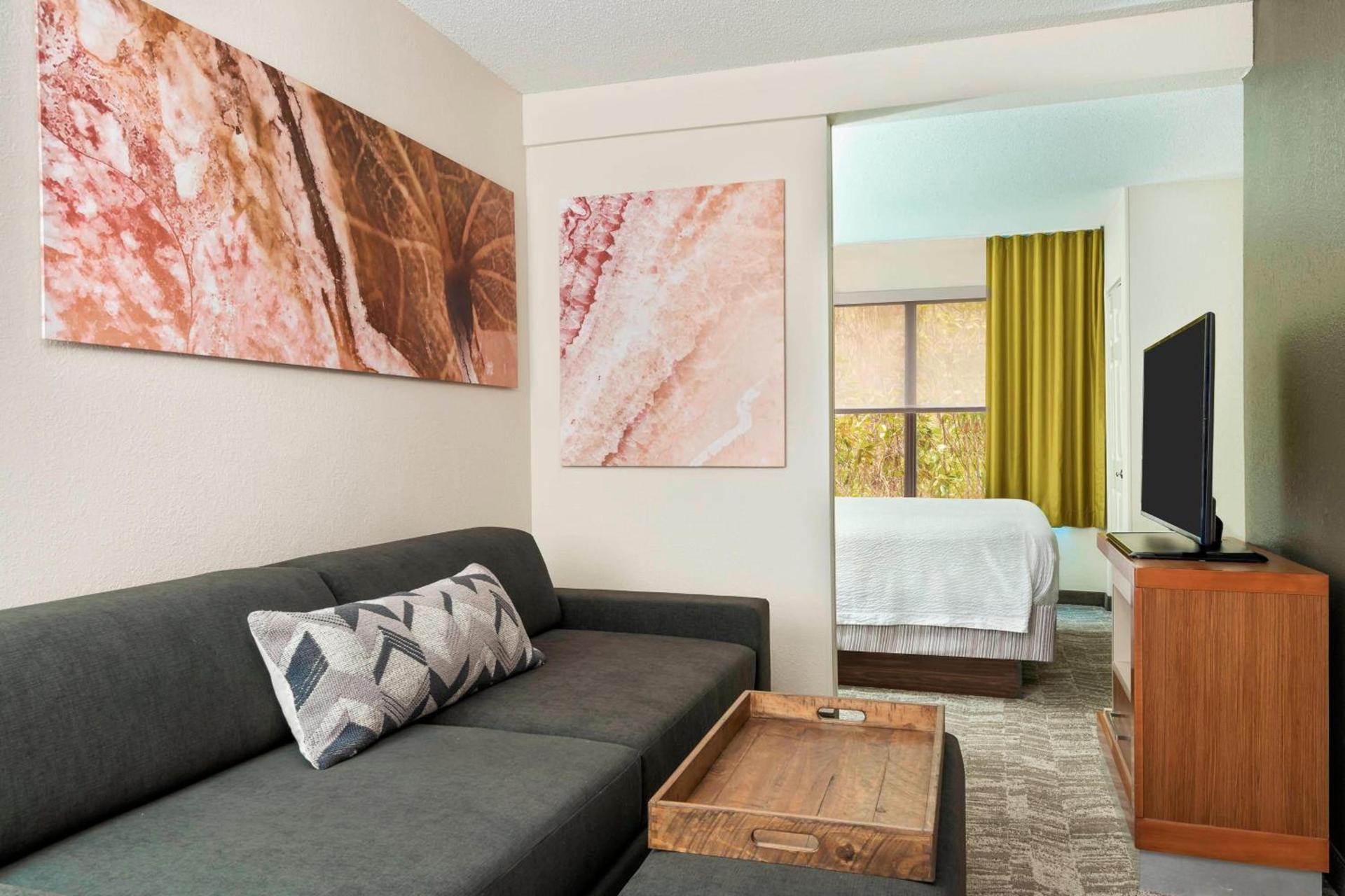 SpringHill Suites Asheville photo 8