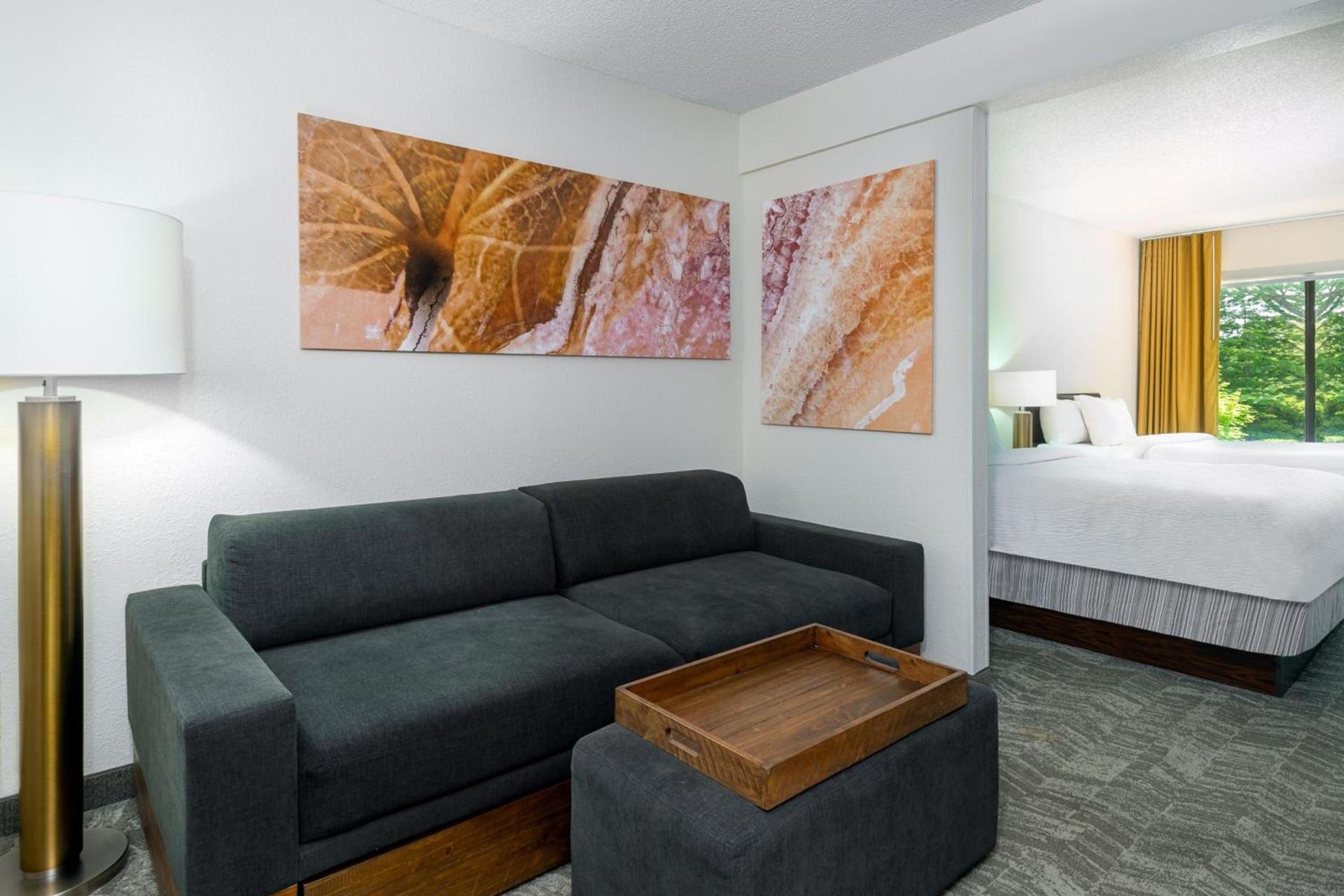 SpringHill Suites Asheville photo 10