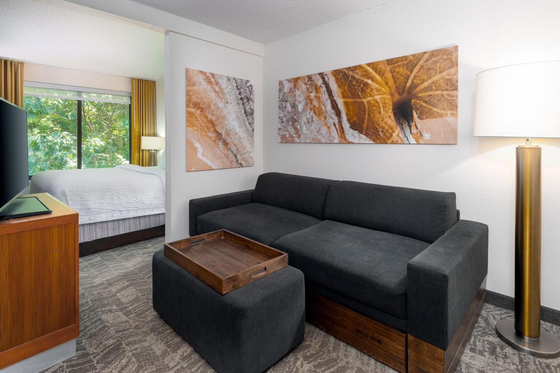 SpringHill Suites Asheville photo 12