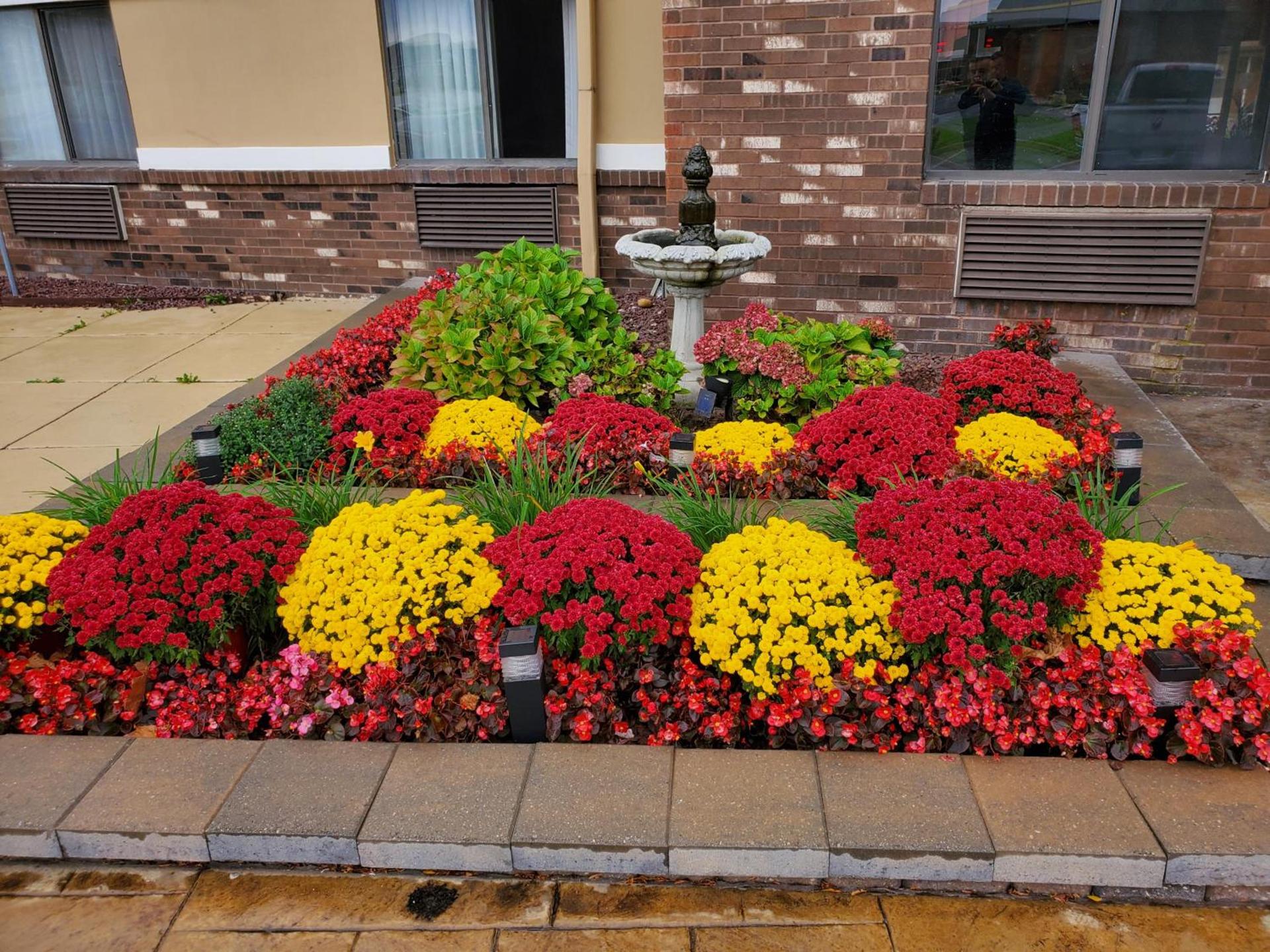 Super 8 by Wyndham Sterling Heights/Detroit Area photo 3