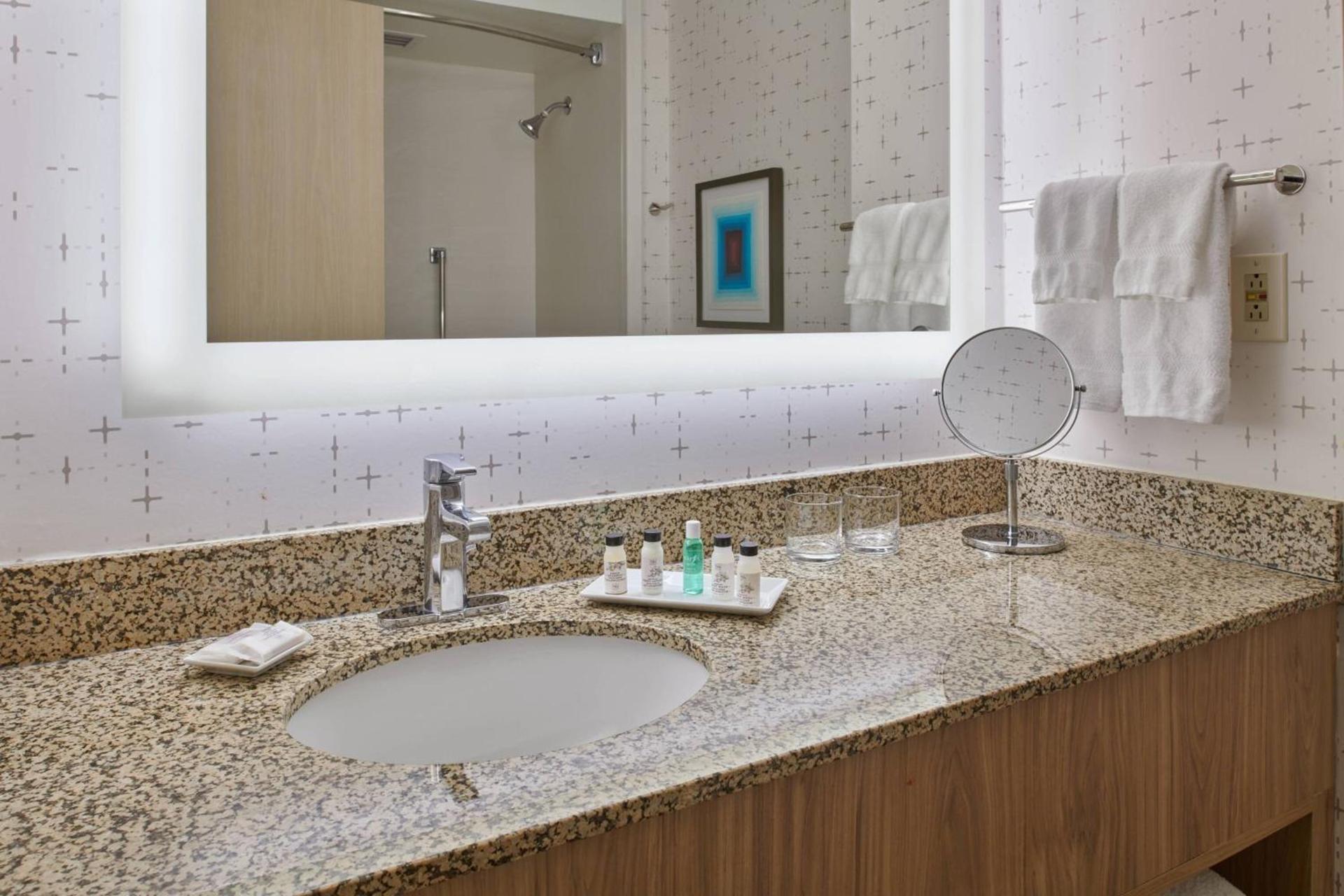 Delta Hotels by Marriott Detroit Novi photo 14