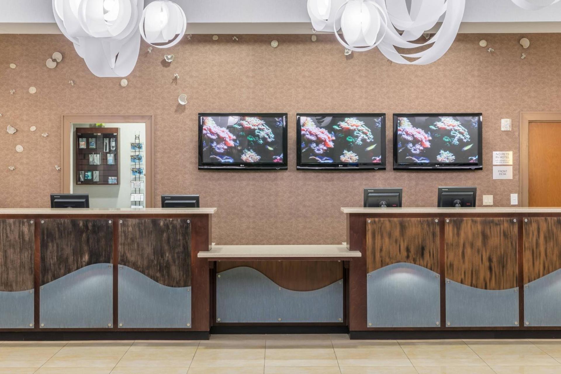 Fairfield by Marriott Inn & Suites Orlando at SeaWorld photo 4