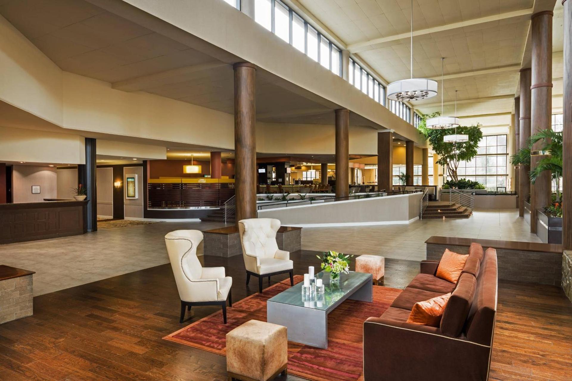 Sheraton Charlotte Airport photo 3