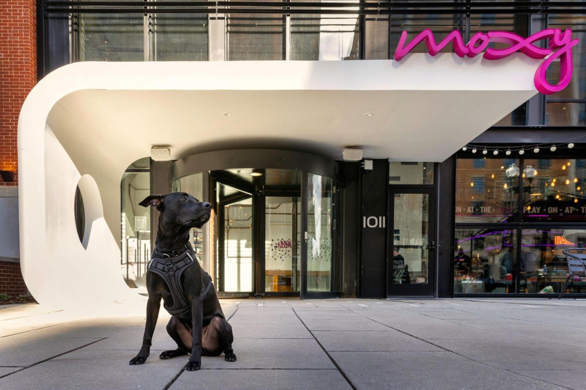Moxy Washington, DC Downtown photo 59
