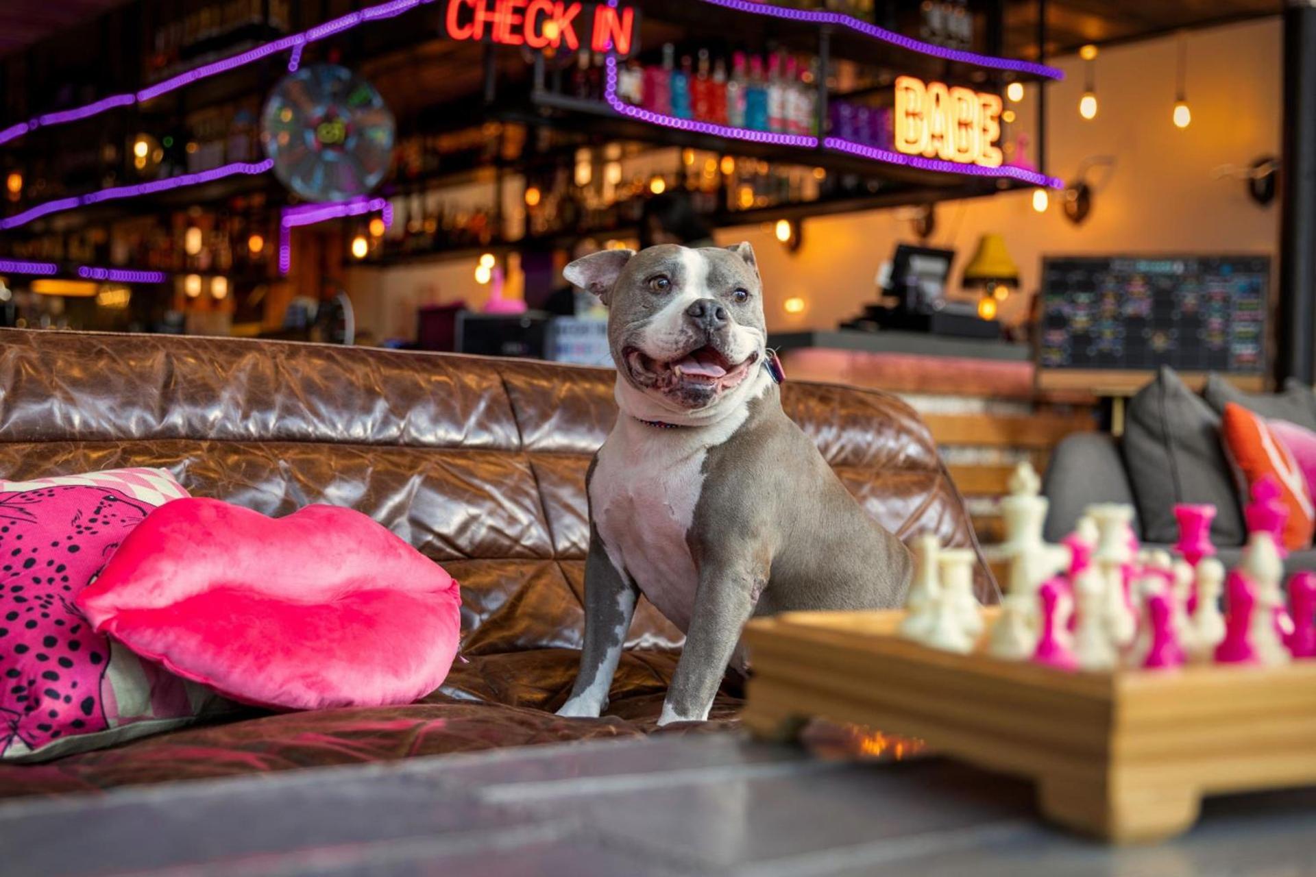 Moxy Washington, DC Downtown photo 62