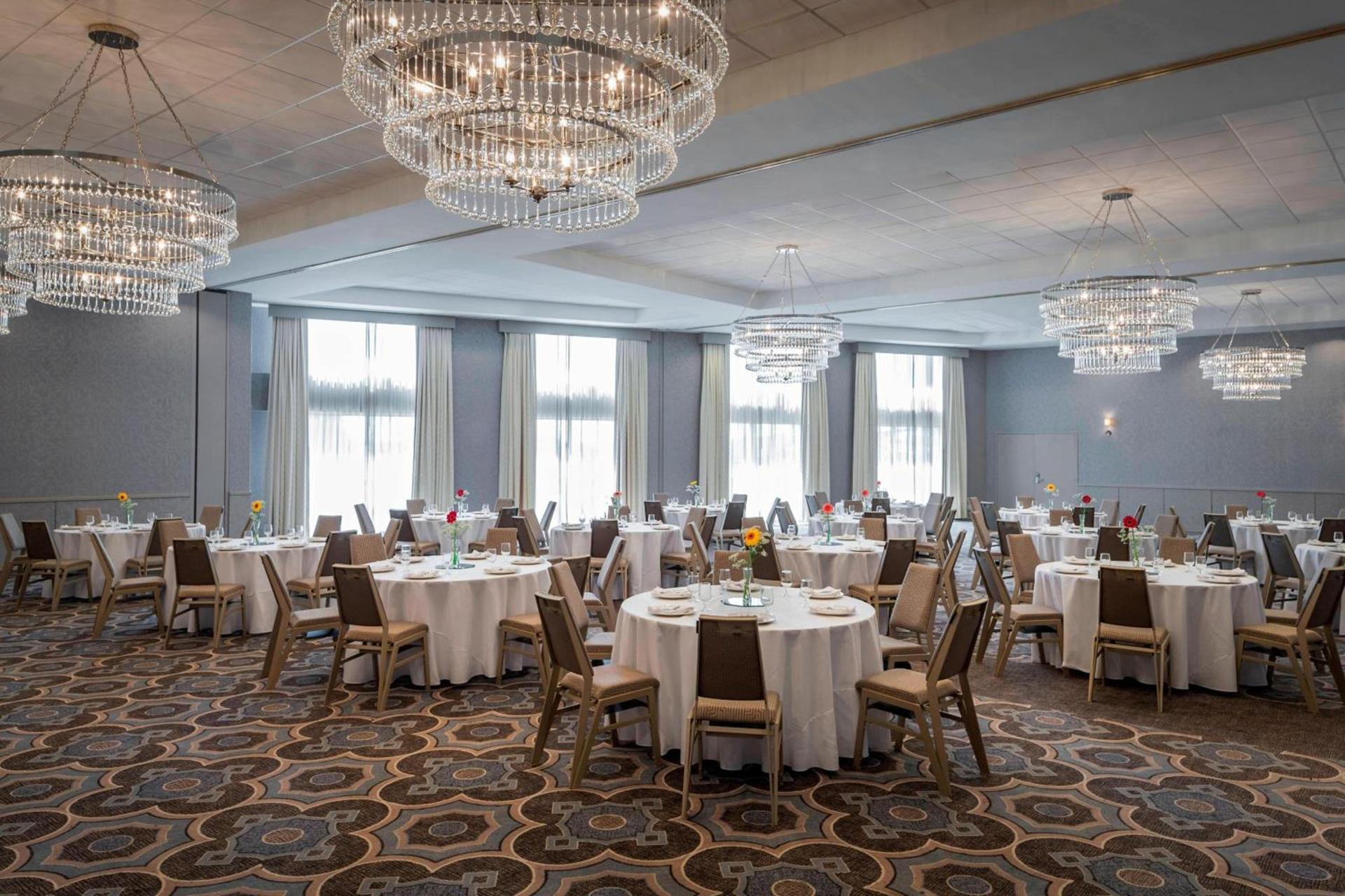 Sheraton Hotel Metairie New Orleans photo 10