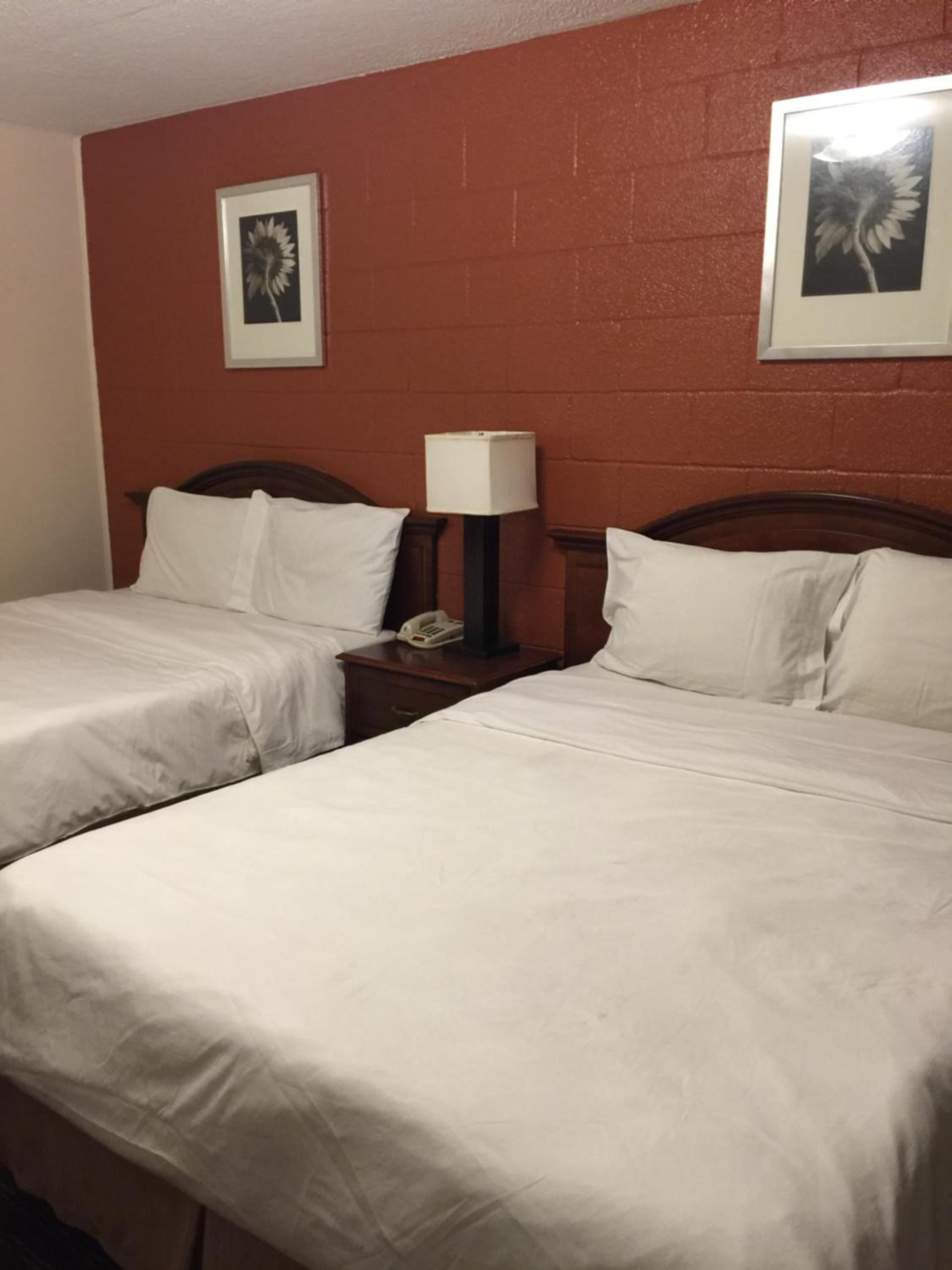 Hope Inn photo 50