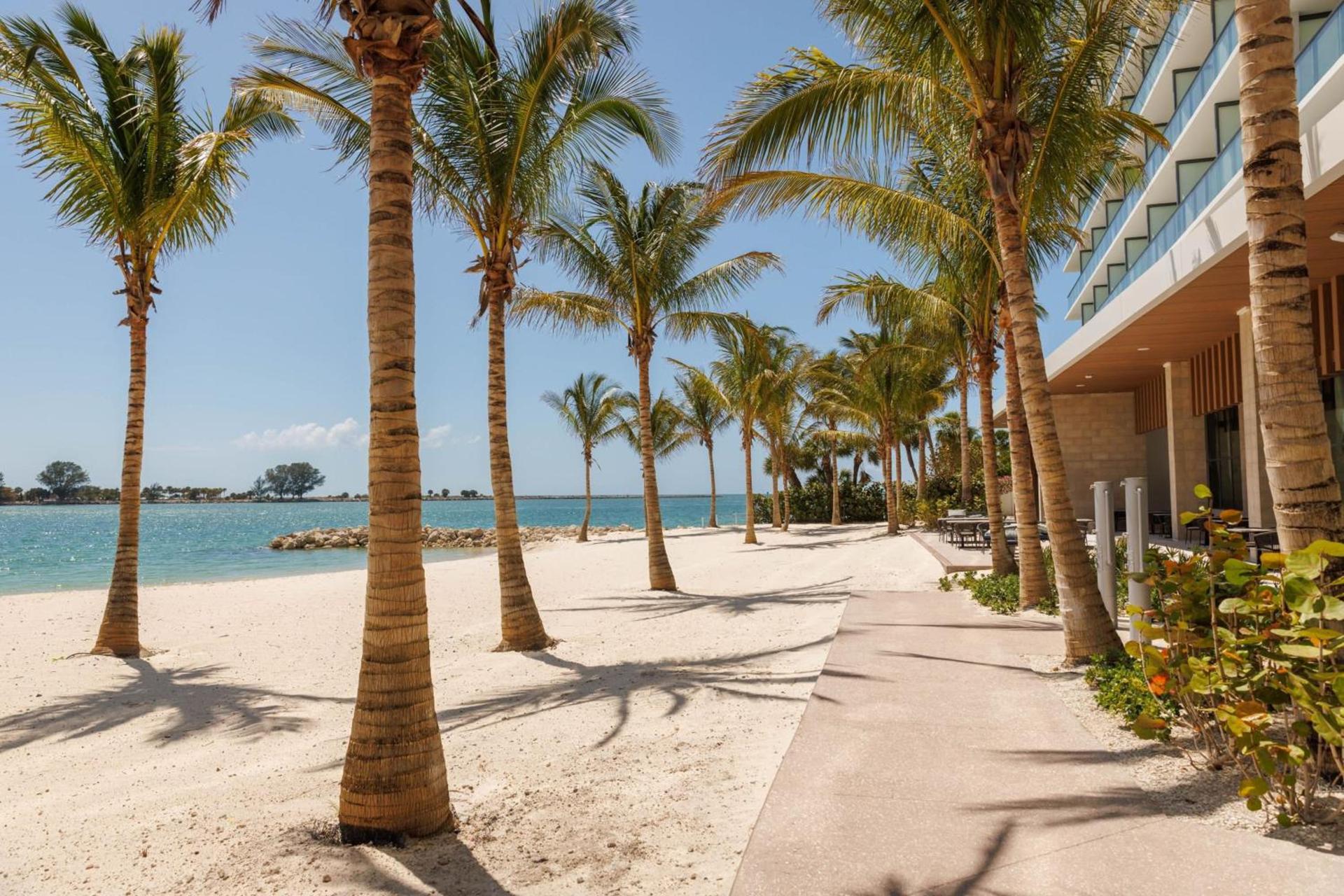 JW Marriott Clearwater Beach Resort & Spa photo 74