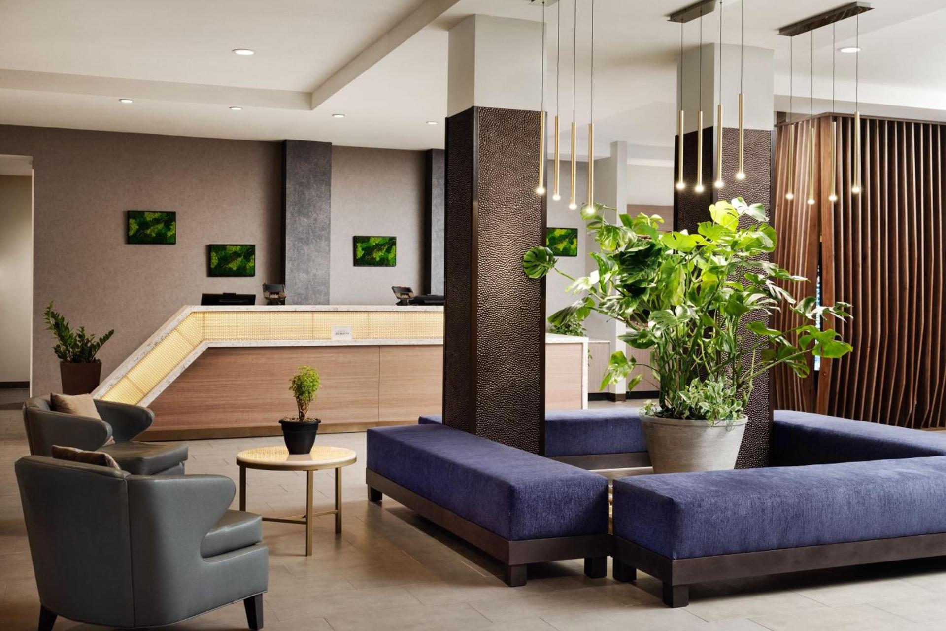 SpringHill Suites by Marriott Milpitas Silicon Valley photo 6