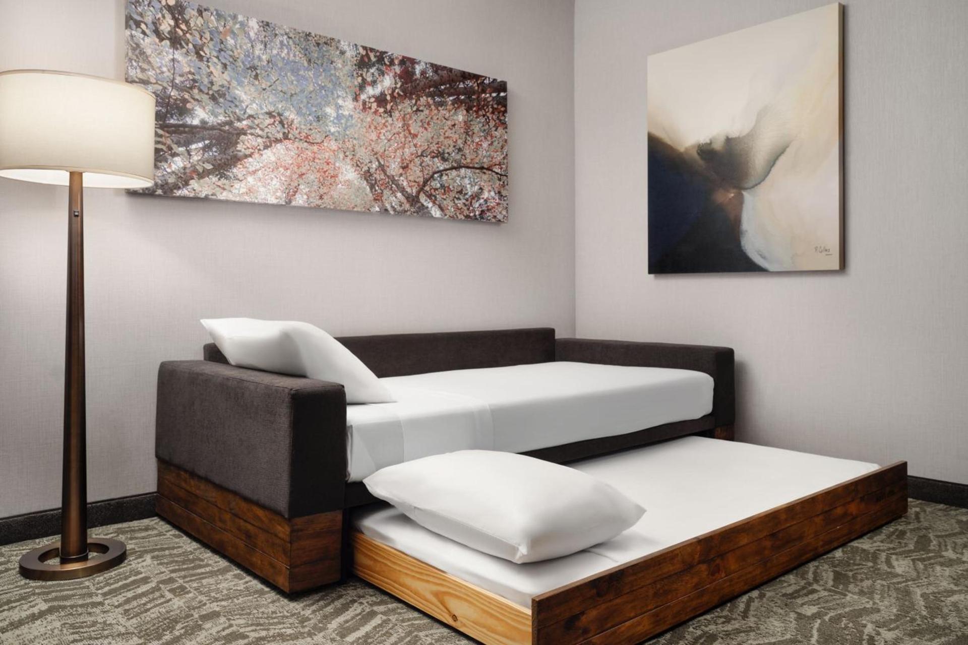 SpringHill Suites by Marriott Milpitas Silicon Valley photo 13