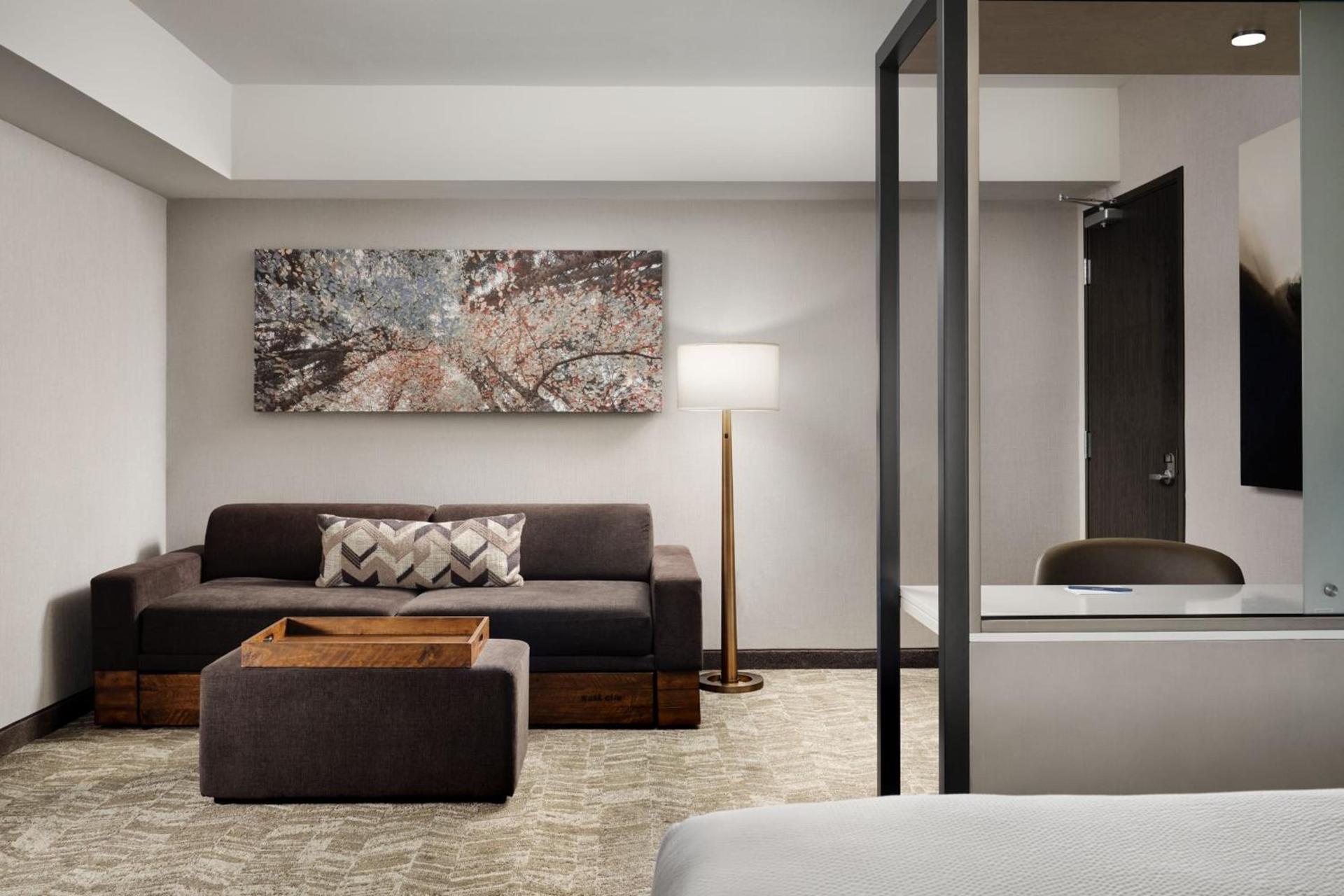 SpringHill Suites by Marriott Milpitas Silicon Valley photo 15