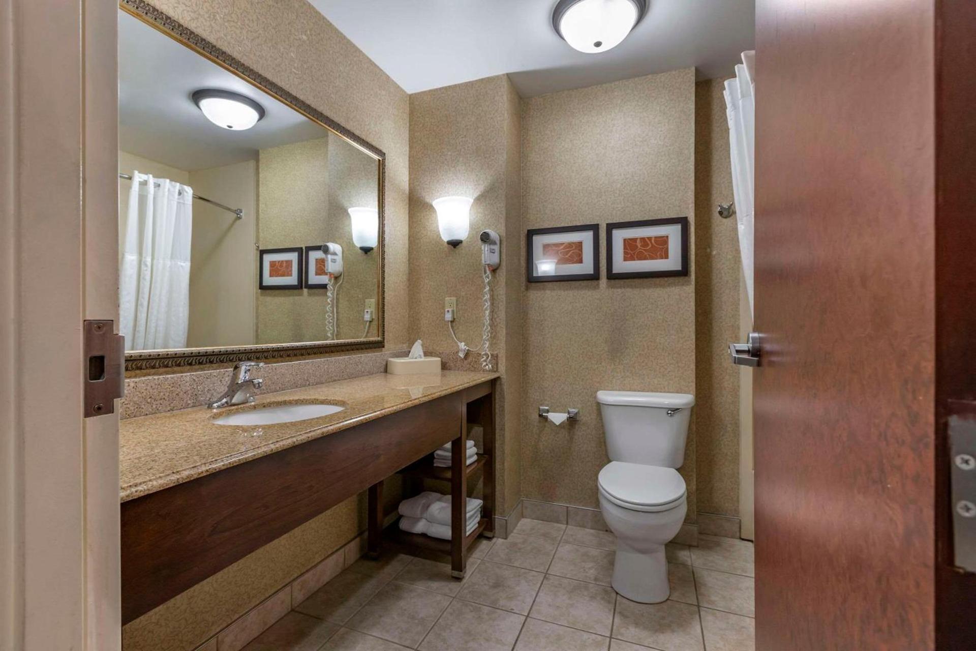 Comfort Suites Grand Rapids South photo 17