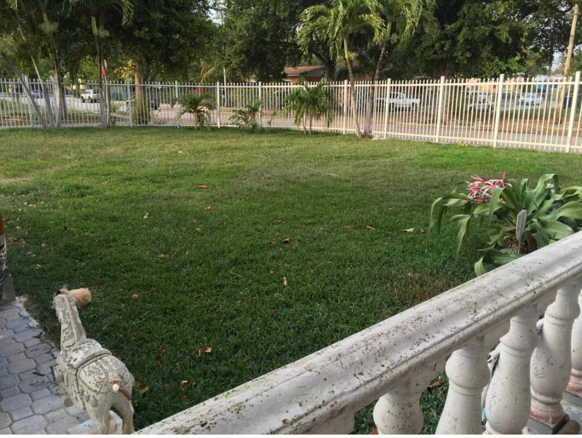 Miami House photo 6