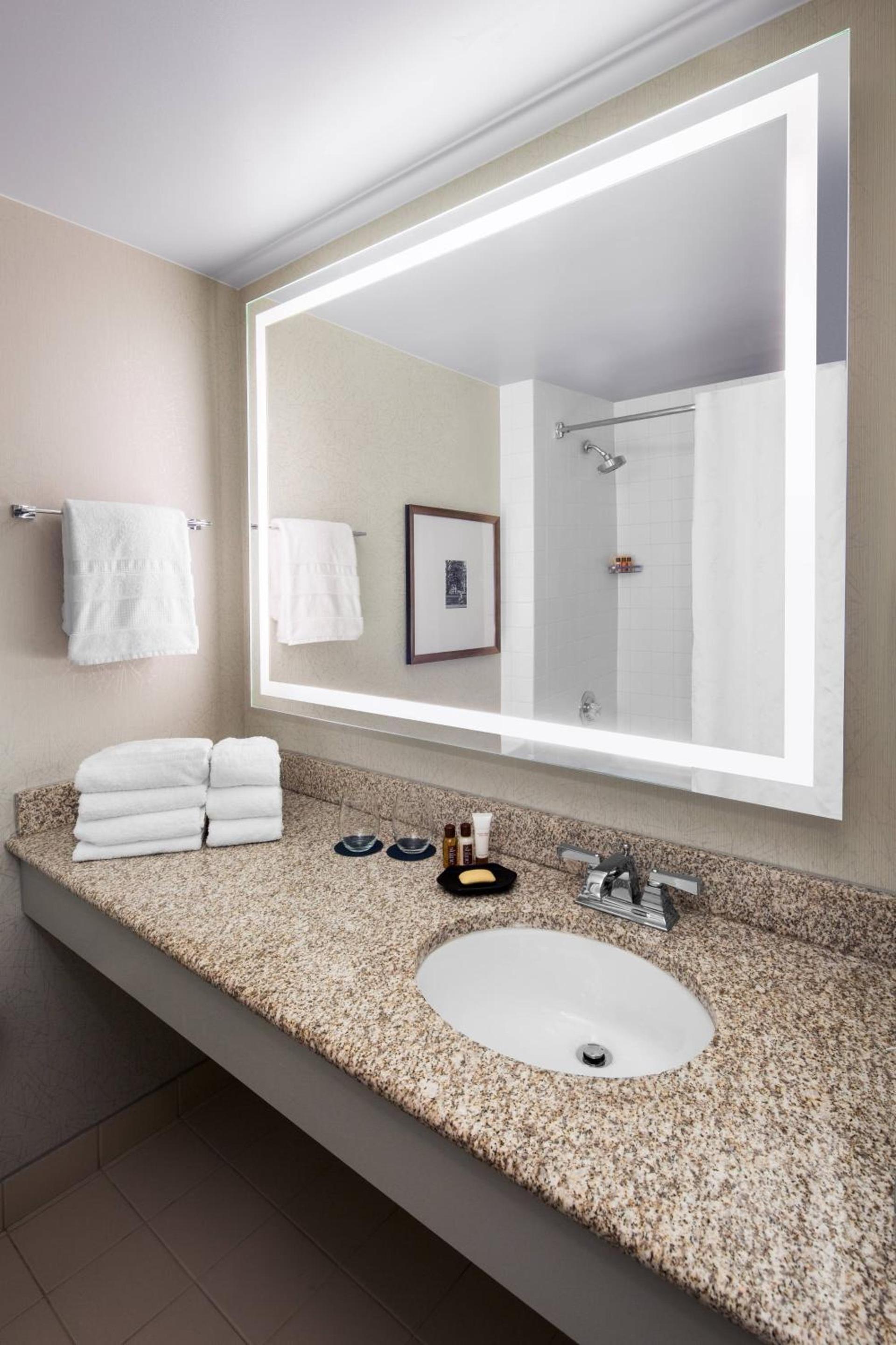 Sheraton Raleigh Hotel photo 9