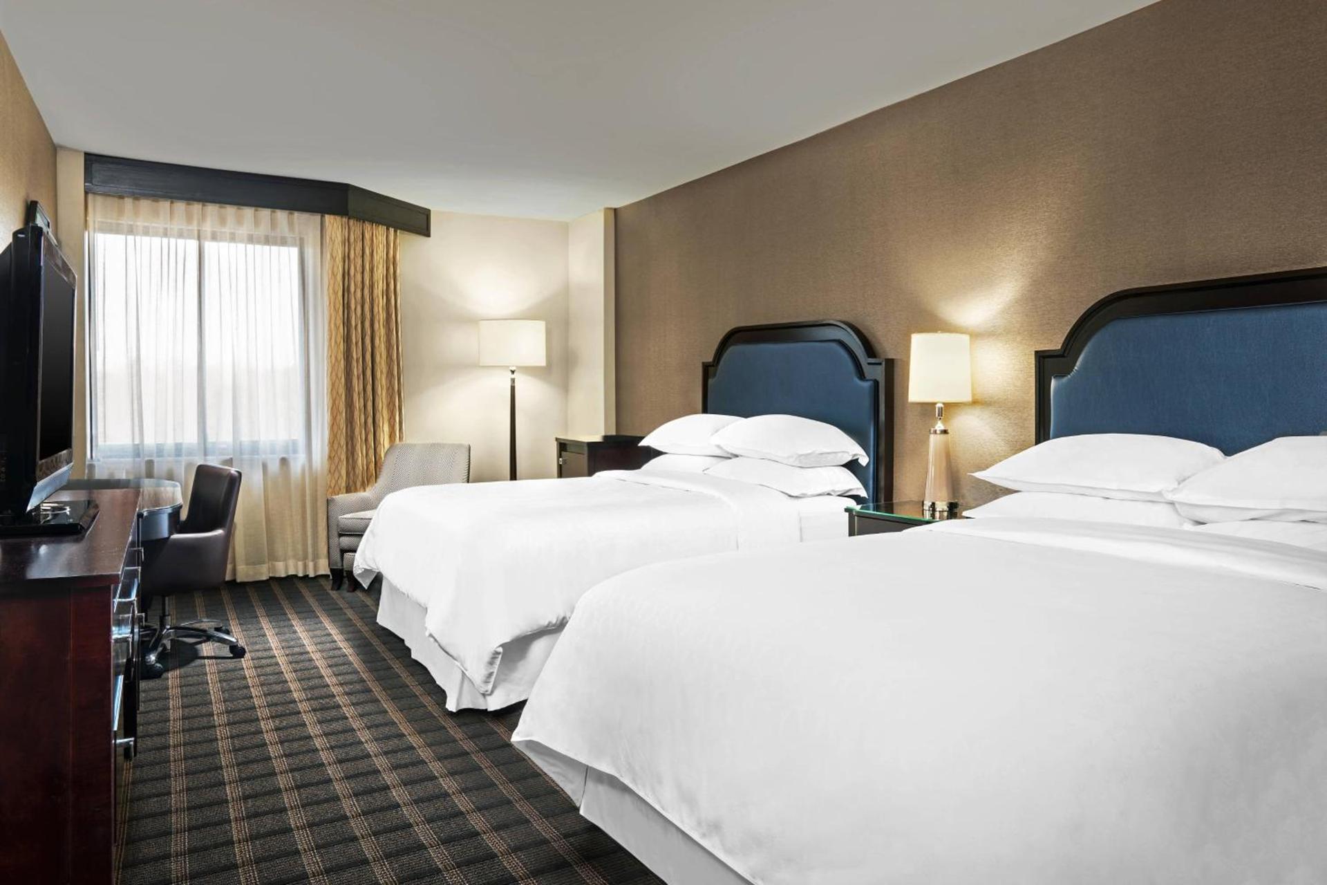 Sheraton Charlotte Airport photo 6