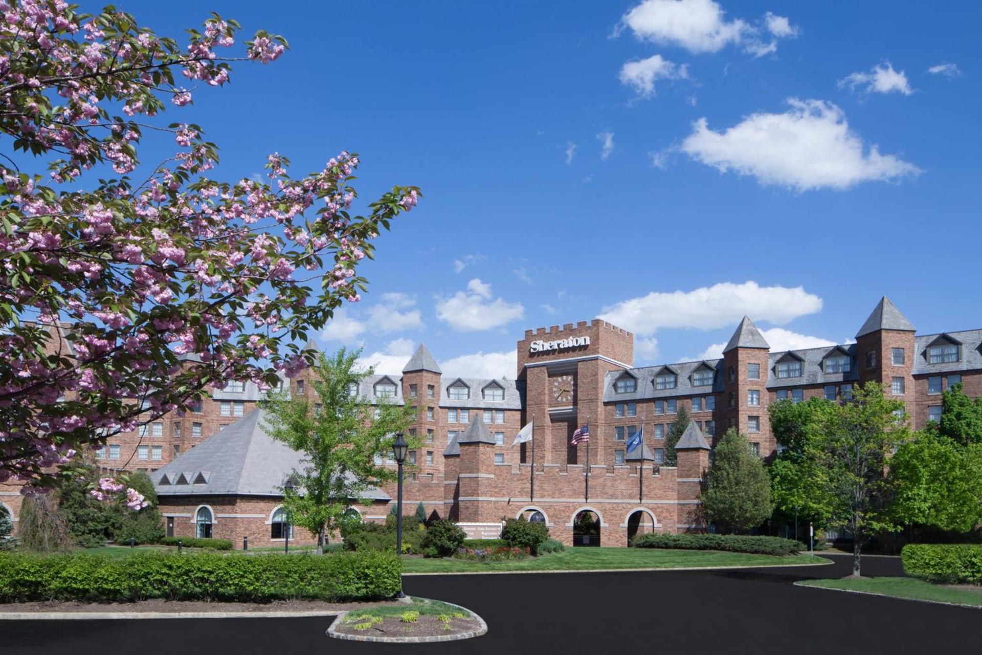 Dolce by Wyndham Parsippany photo 8