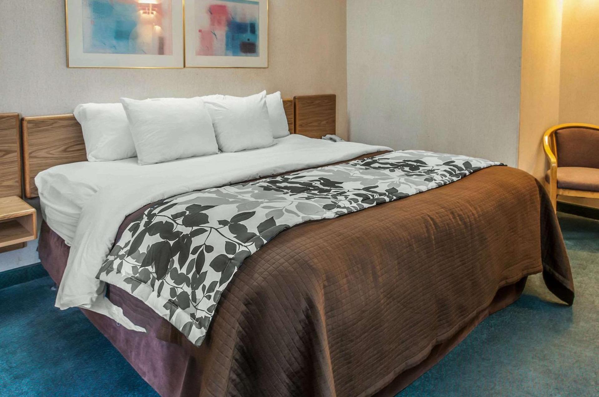 Sleep Inn University photo 13