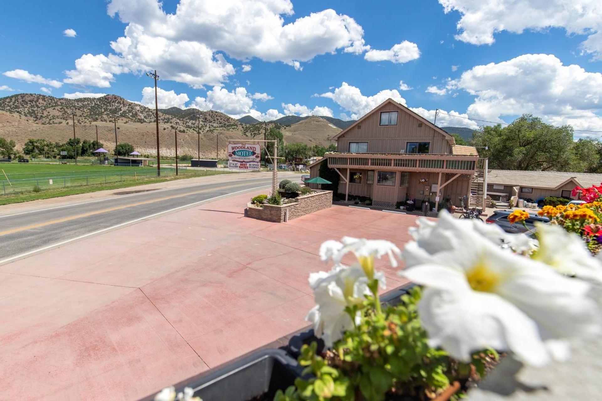 Woodland Motel photo 45