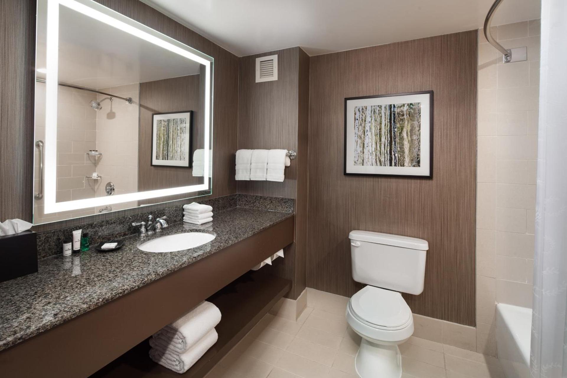 Sheraton Agoura Hills Hotel photo 11