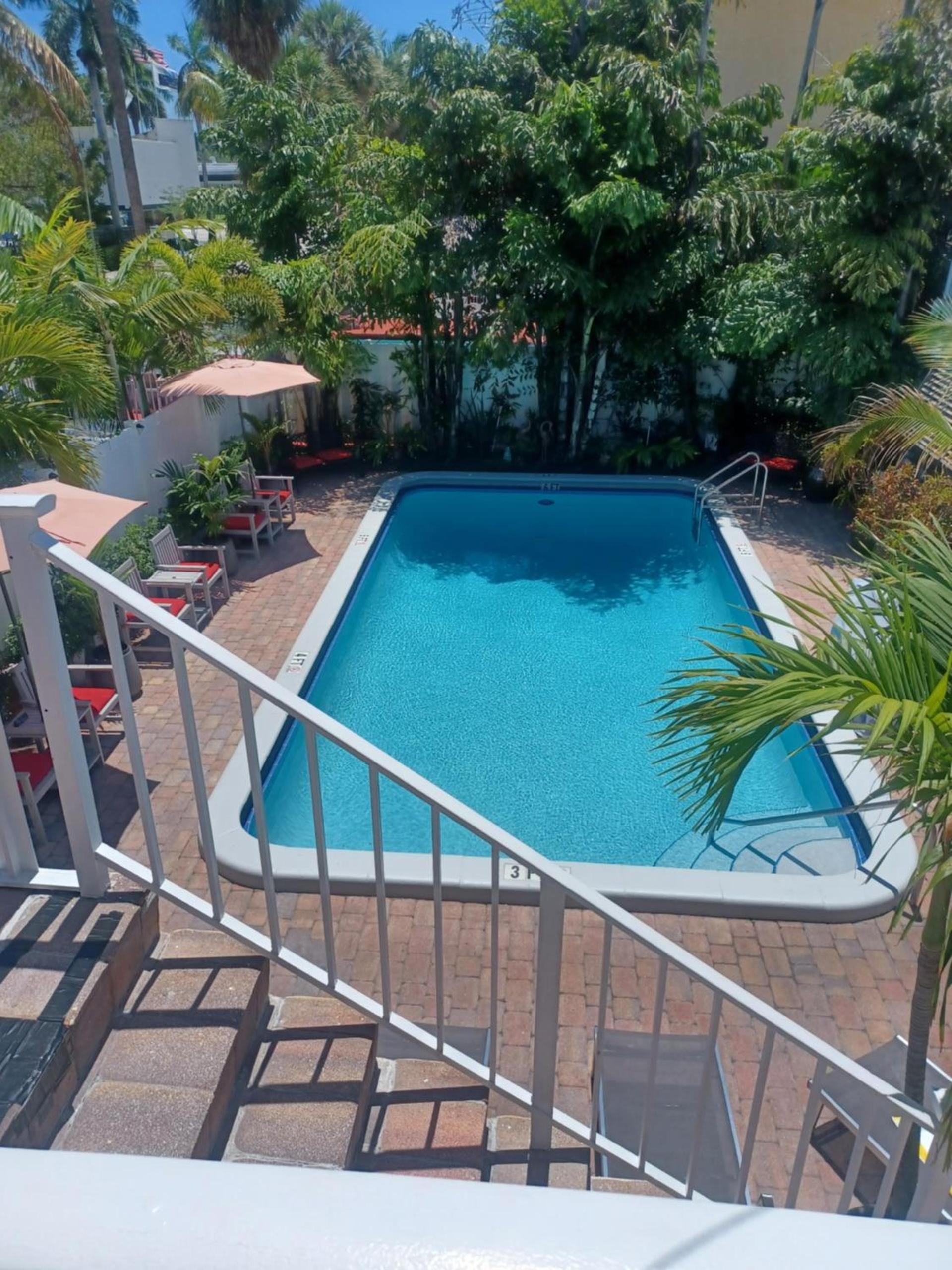 The Big Coconut Guesthouse - Gay Men's Resort photo 17