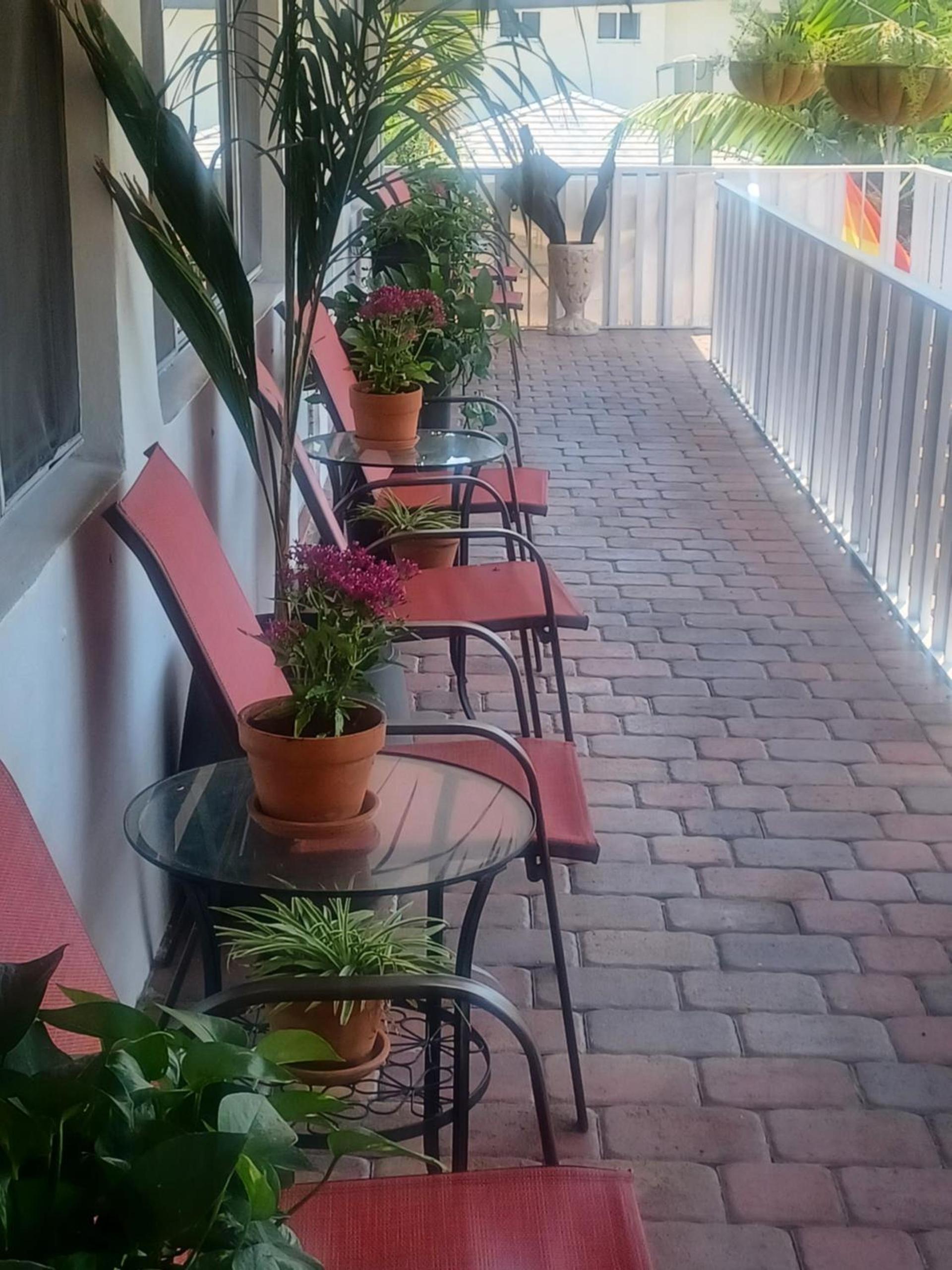 The Big Coconut Guesthouse - Gay Men's Resort photo 18
