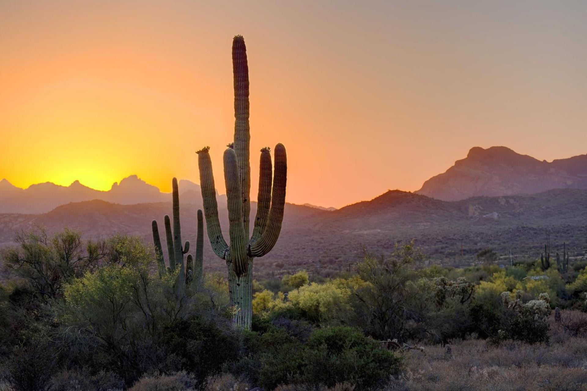 Aloft by Marriott Scottsdale photo 31