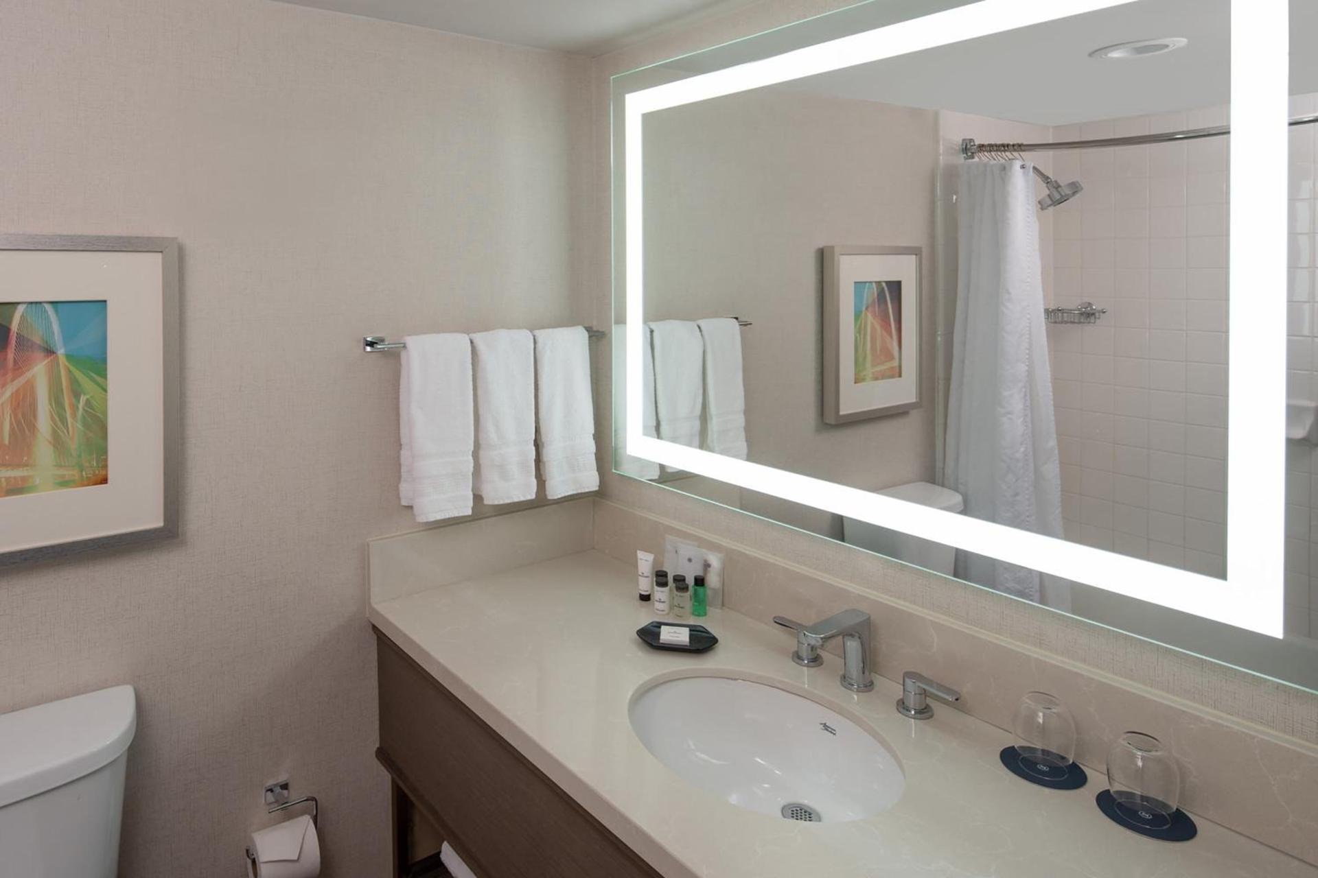 Sheraton Dallas Hotel by the Galleria photo 18