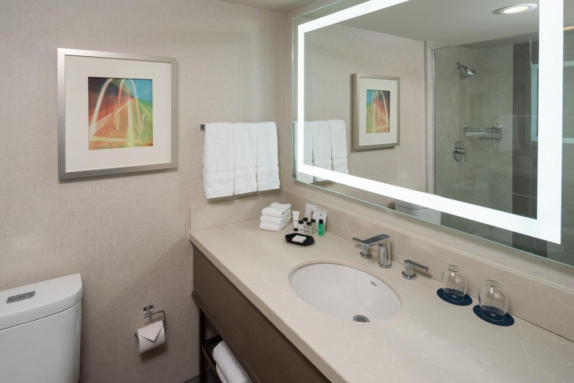 Sheraton Dallas Hotel by the Galleria photo 19