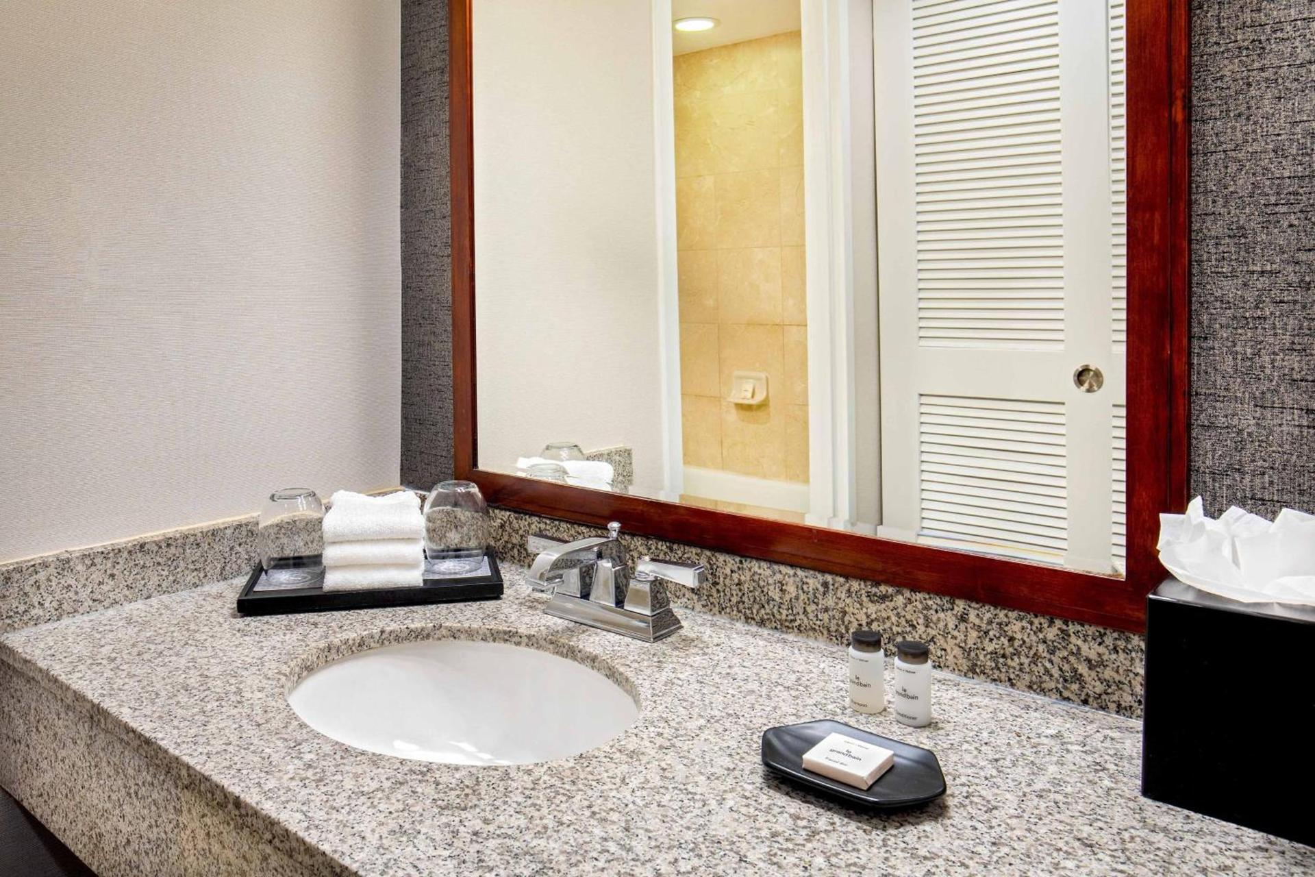 Sheraton Pentagon City photo 15
