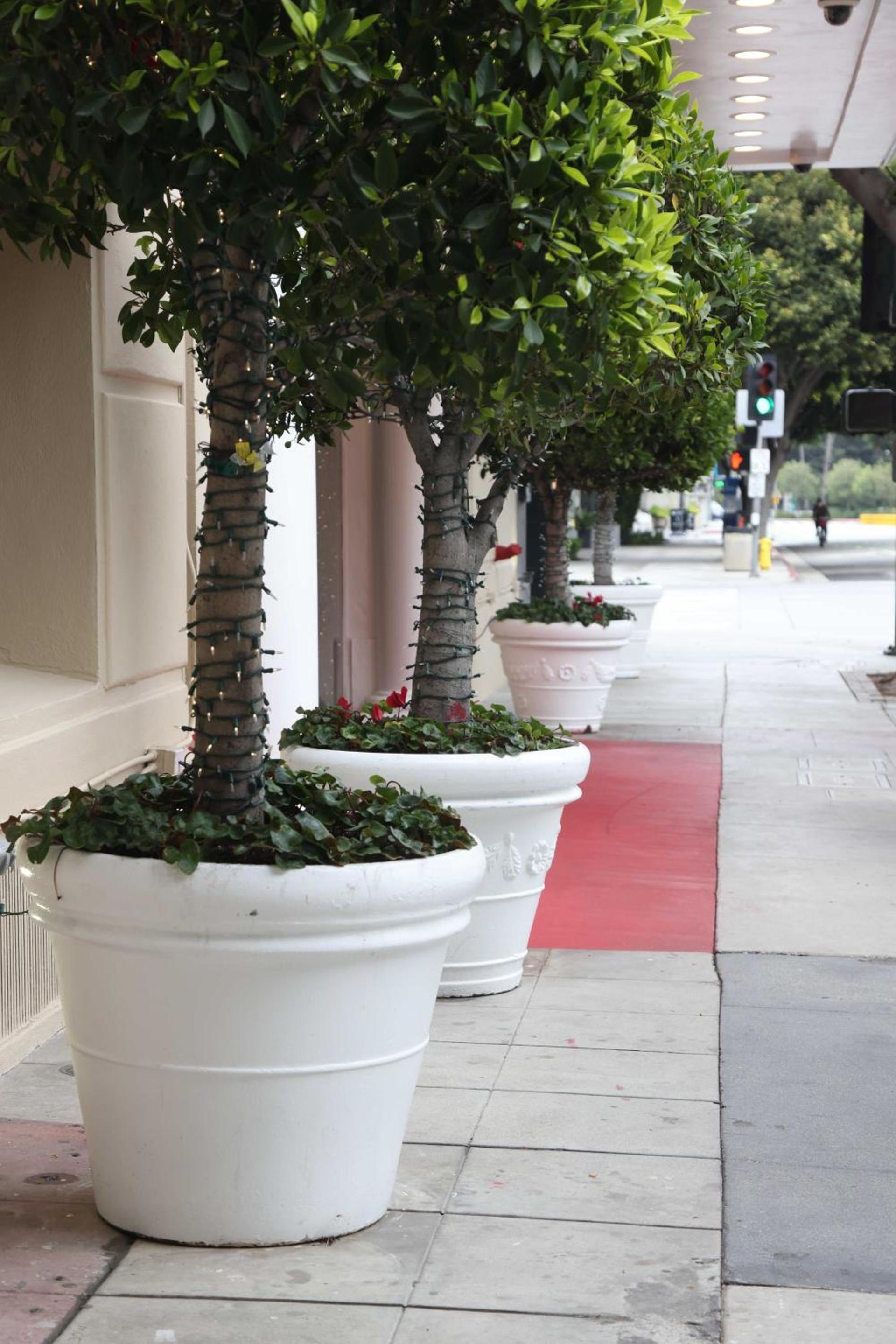 Hotel Carmel Santa Monica photo 41