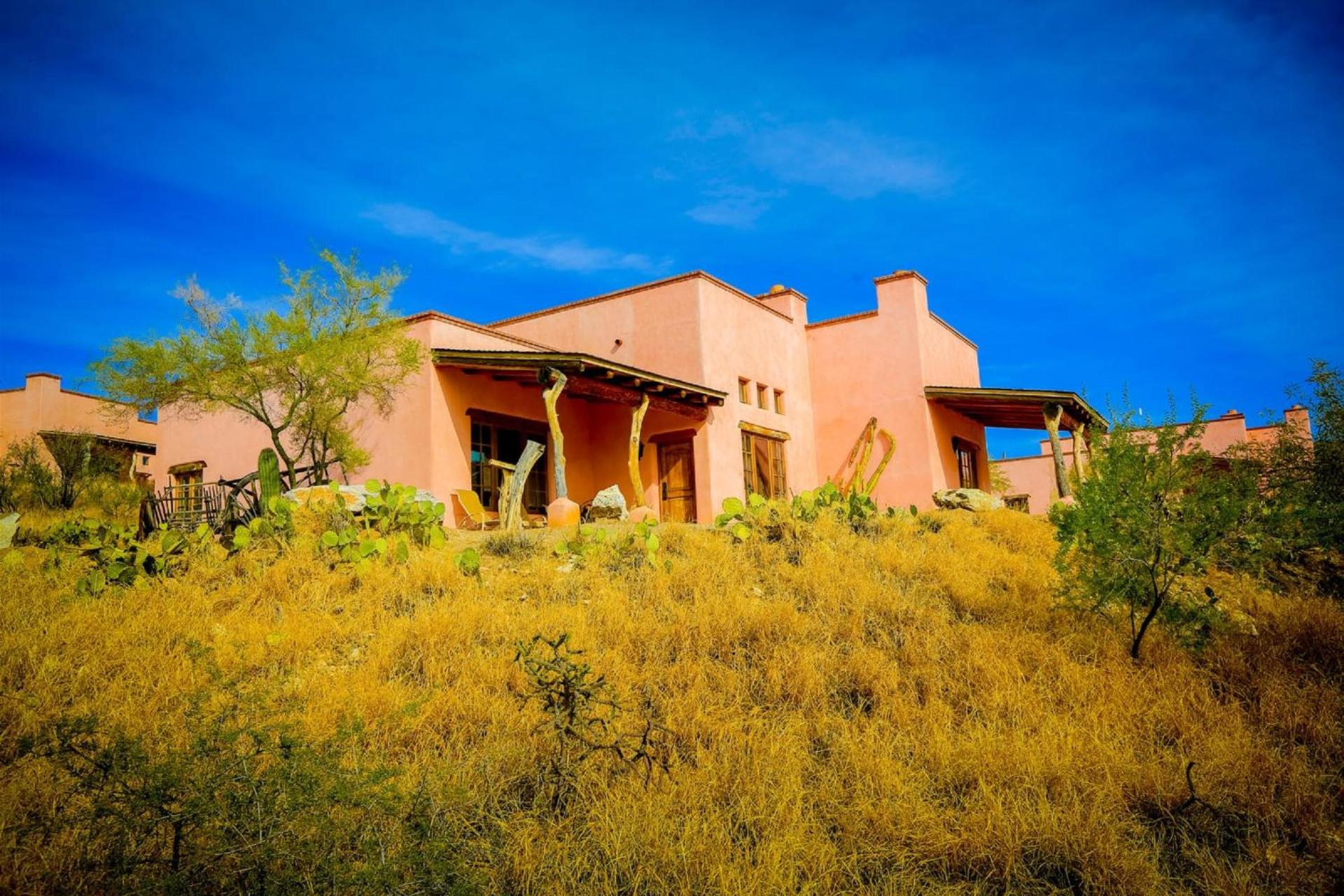 Tanque Verde Guest Ranch photo 14