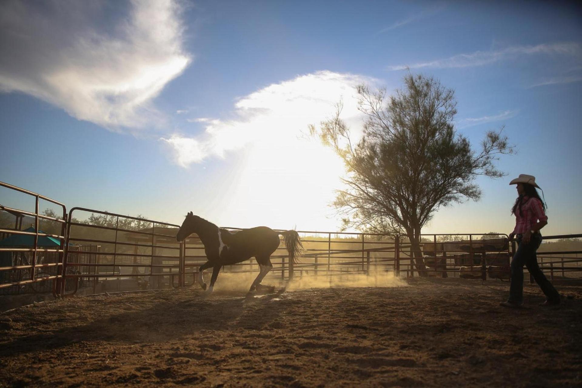Tanque Verde Guest Ranch photo 20